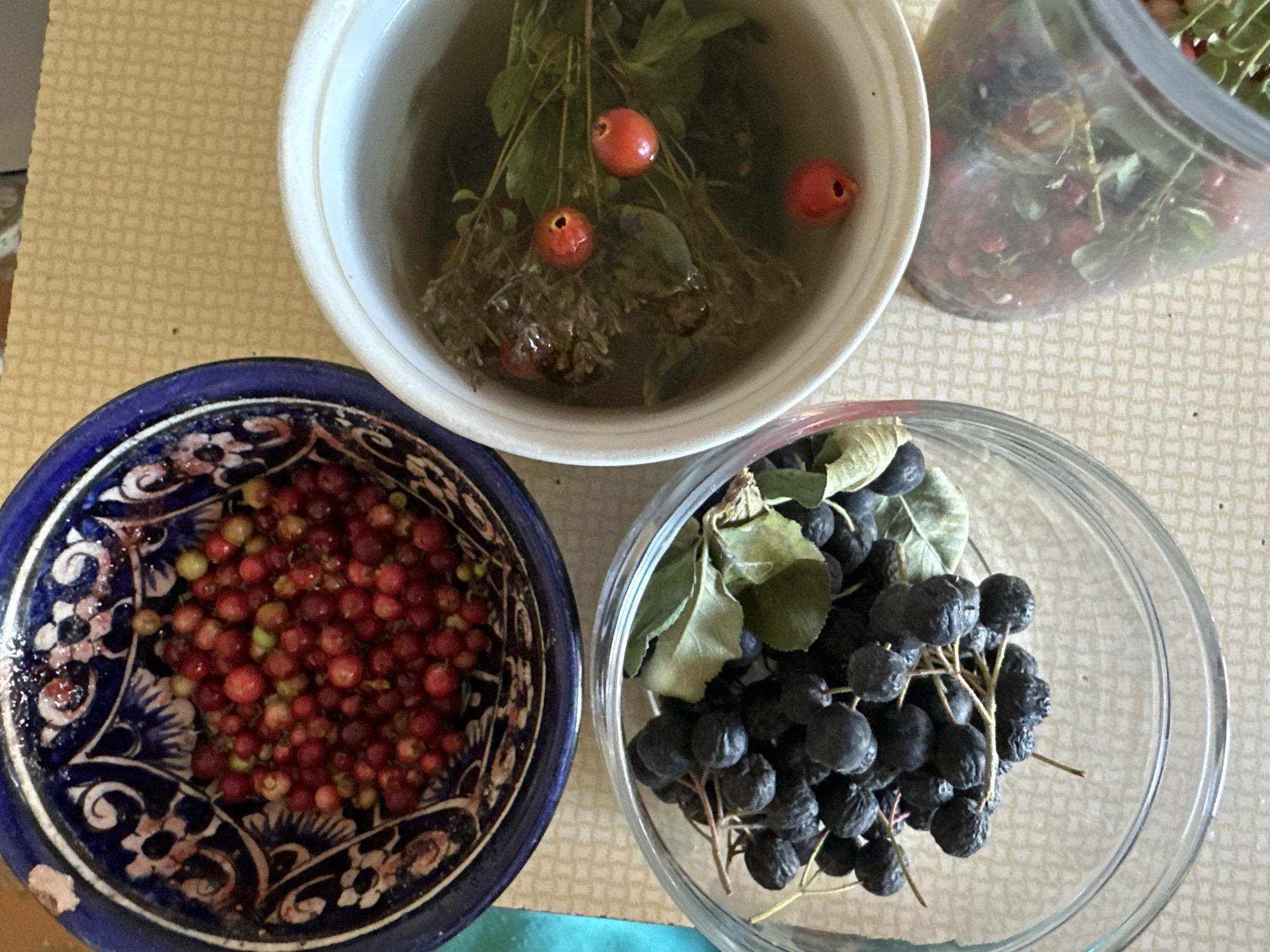 The image shows a top-down view of several bowls and a jar filled with berries and herbs on a textured, light-colored surface.
In the upper left is a blue and white patterned ceramic bowl filled with small, round, red and some green berries.
To the right of the blue bowl is a white bowl containing water, green leafy herbs, and several red berries with small holes in them.
In the bottom left is a clear glass bowl filled with dark, round berries, some with attached leaves and stems.
In the bottom right, a clear glass jar is partially visible, containing red berries and green leaves.
The overall scene appears to be related to food preparation or preservation, possibly for making jams, preserves, or herbal infusions. No people or animals are visible in the image. The location in Biysk, Russia is not discernable from the image itself.