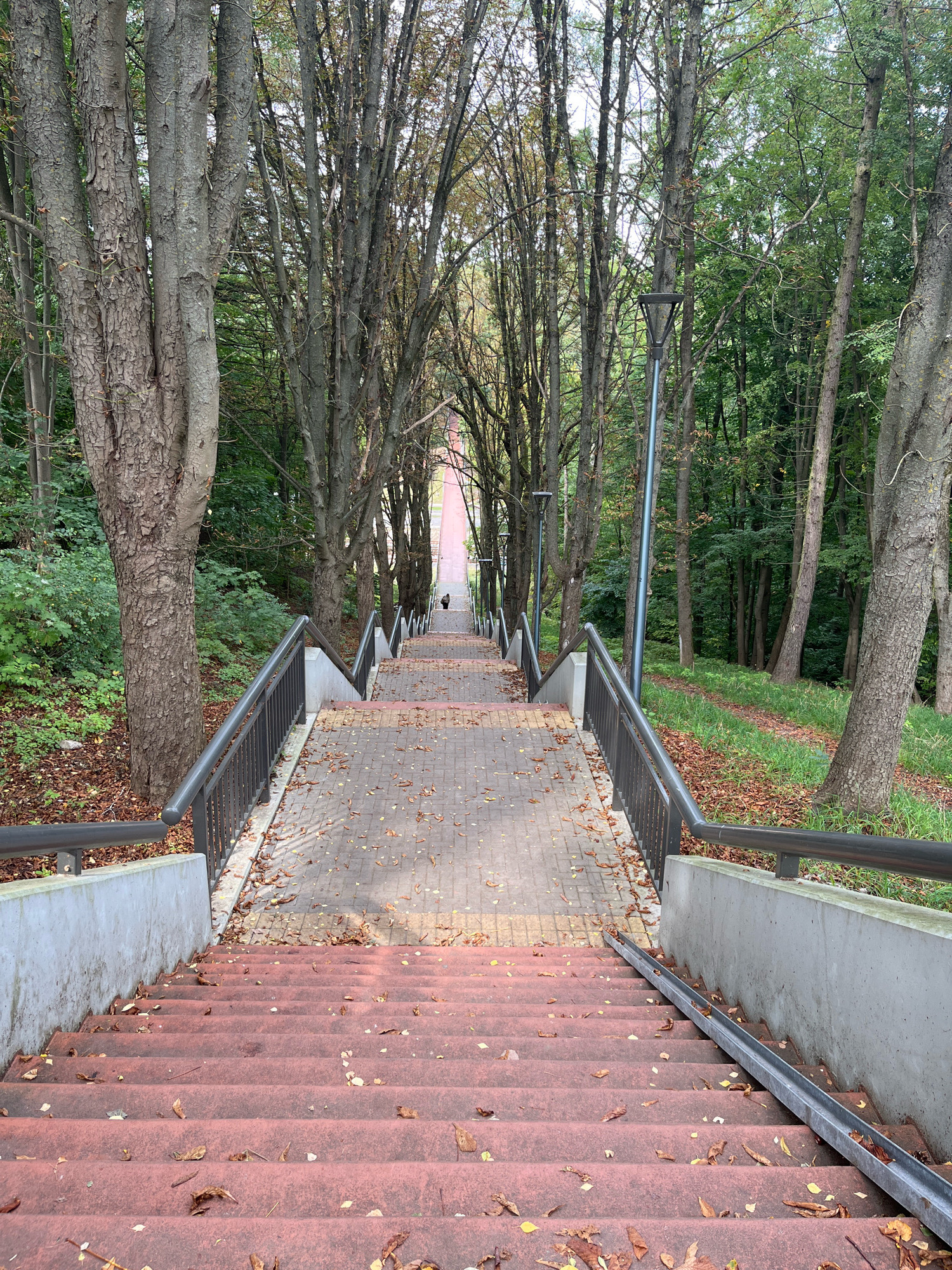 This is a downward-facing, vertical shot of a long, red-carpeted staircase in Kaunas, Lithuania, flanked by trees with grey bark and dense green foliage. The staircase, worn and scattered with fallen brown leaves, descends into the distance. A person, small in the frame, can be seen standing near the bottom of the stairs. The stairs are bordered by concrete walls and dark metal railings. Beyond the stairs, a treelined pathway leads further into a park-like setting with green grass and more trees. A single modern lamppost stands to the right of the stairs. The overall impression is one of a park or public area with an extensive outdoor staircase.