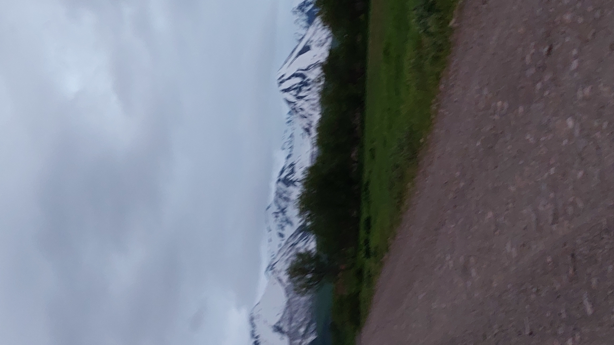 The image depicts a rural landscape with a dirt road in the foreground. A line of green trees runs horizontally across the middle ground, with a field of green grass behind them. In the background, a range of mountains is visible, their peaks covered in snow. The sky is overcast with gray clouds. The scene appears to be located outside of the city of Лесной, Russia, given the natural, undeveloped environment. There are no people, animals, or structures identifiable in the image. The overall impression is one of a serene, natural setting under a cloudy sky.