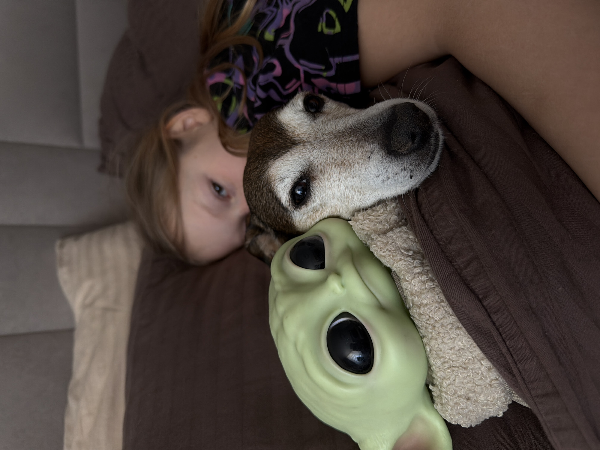 In Markovo, Russia, a young girl with light-colored hair, wearing a dark, patterned shirt, is partially visible lying on a bed. Her head and upper body are in the upper right of the frame, with her eyes open and directed forward. To her left, an adult terrier-type dog with a white and brown face is resting, its head positioned adjacent to a light green, large-eyed "Grogu" character figure. The dog's eyes are open and directed forward. The Grogu figure rests on a light-colored, textured fabric. All subjects are situated on brown bedding. A beige pillow and a gray upholstered headboard are visible in the background, indicating an indoor, bedroom environment.