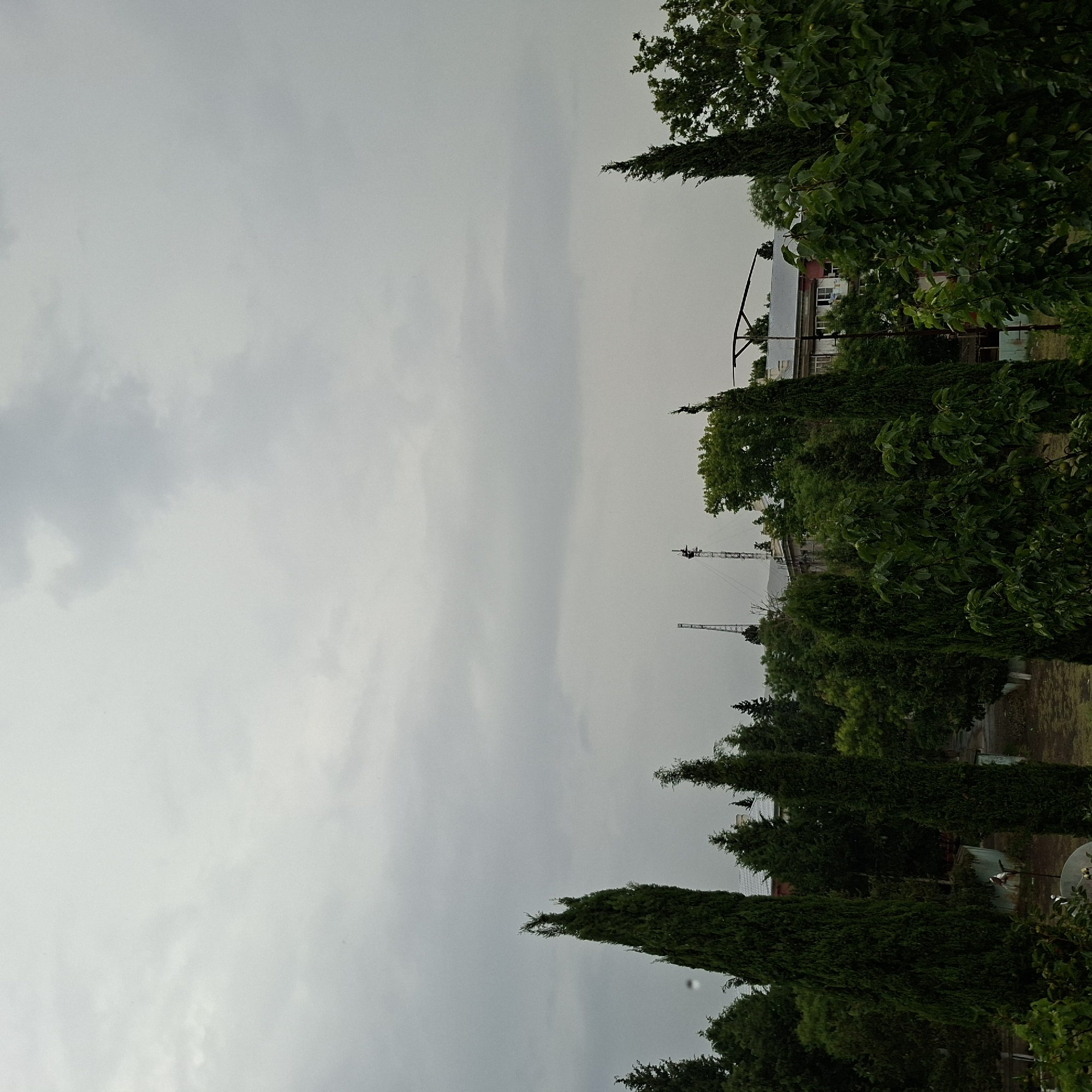 The image depicts a cloudy sky with a landscape featuring trees and buildings. The scene is oriented vertically, suggesting it was captured by a mobile phone or rotated for display.
In the foreground, various trees are visible, including tall, slender cypress-like trees and fuller, leafy trees. Some of these trees are so dense they obscure much of the background. Beyond the trees, there are buildings, one appearing to be a light-colored structure with windows. The top of what looks like a radio tower or a construction crane is also visible rising above the trees in the middle distance.
The weather appears overcast and possibly humid, given the diffused light and the slightly muted colors of the foliage. There are no people visible in the image. The overall impression is one of a quiet, possibly residential or semi-industrial area under a grey sky. The presence of the tower-like structures might indicate a communication hub or an active construction site. There is no visible text. The time of day is unclear due to the overcast conditions, but it is likely daytime.