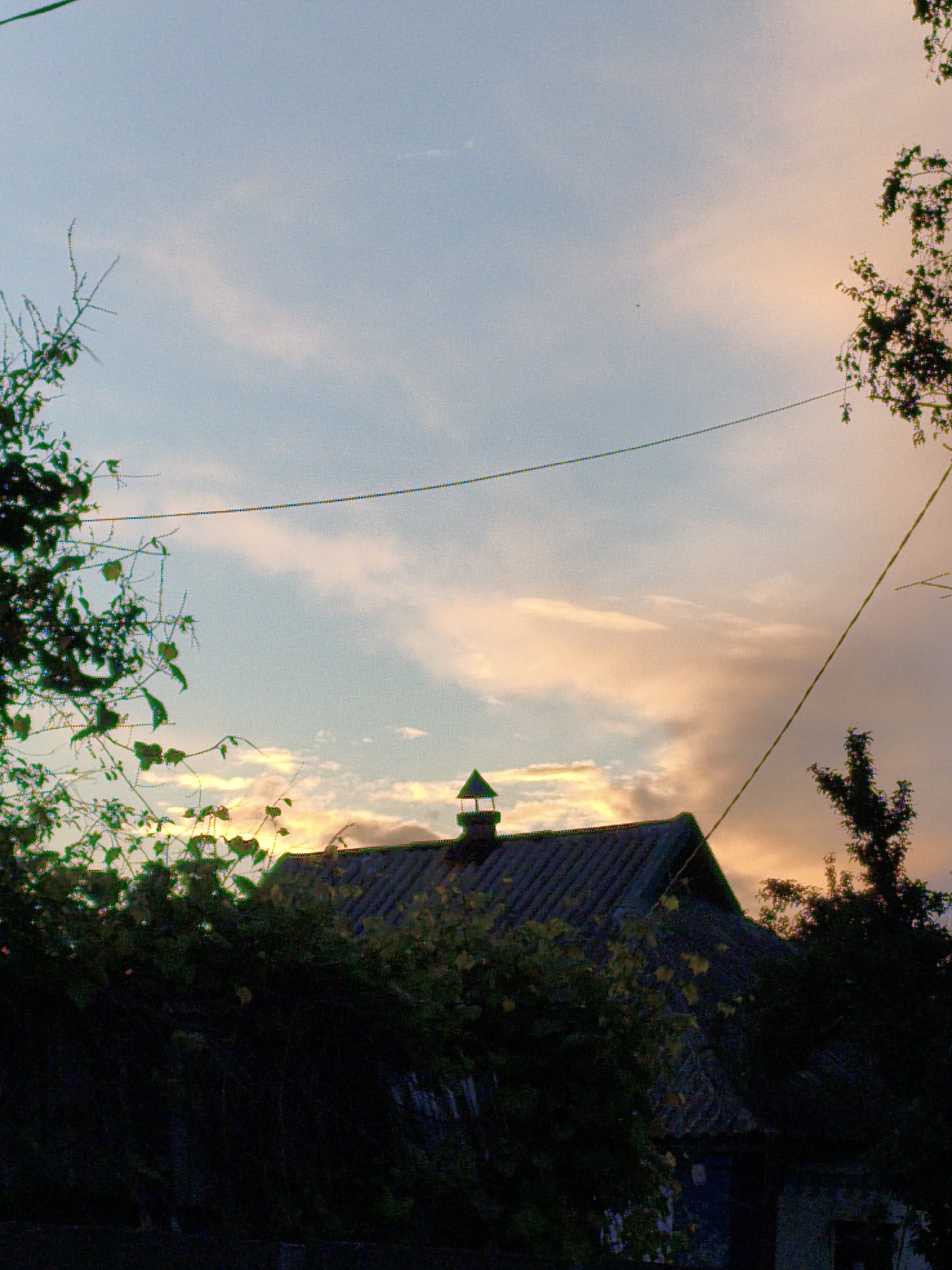 The image depicts a rural scene, likely taken at twilight, with a focus on a small, dark-roofed house in Ustyvytsia, Ukraine. The house is partially obscured by dense foliage, suggesting a natural, overgrown environment. The sky transitions from pale blue to soft orange hues, indicating either sunrise or sunset. Power lines cut across the upper portion of the frame, adding a touch of modern infrastructure to the rustic setting.
