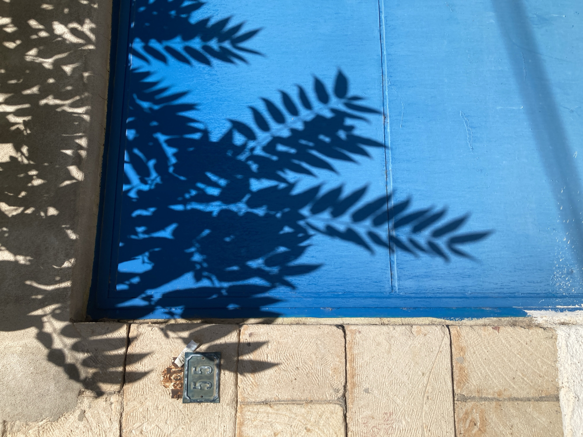 A close-up, eye-level, outdoor shot captures the shadow of leaves on a vibrant blue door and a textured stone wall in Avanos İlçe Merkezi, Turkey. The door takes up the majority of the right side of the frame, its surface showing subtle vertical lines and a few water streaks. On the left, the rough-hewn stone wall is divided by a horizontal crack. A small, weathered metal house number plaque, displaying the numerals "55" in a dark font against a lighter background, is affixed to the wall near the top left corner. The shadow of a leafy branch stretches across both the wall and the door, its intricate pattern of leaves casting a dark silhouette. The top edge of the frame shows the dappled shadow of more foliage on a lighter-colored surface, possibly the overhang of the building. The lighting suggests a bright, sunny day. No people are visible in the scene.