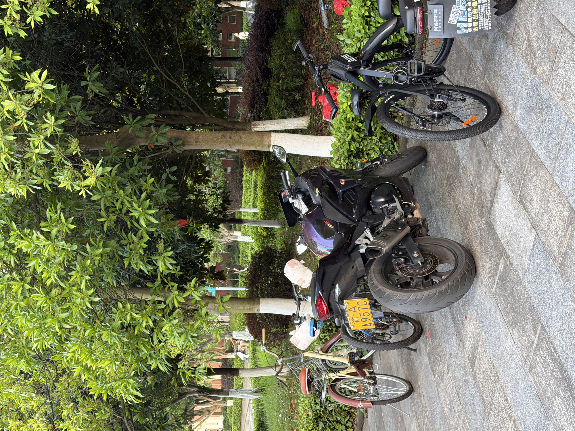 Here's a detailed description of the image:
**Location:** The image appears to be taken in a park or public area within the Chongqing High-tech Zone, China. This is based on the Chinese license plate and the general urban landscaping.
**Subjects & Objects:**
* **Vehicles:** There are several vehicles present. A black motorcycle is parked prominently. Additionally, there are at least two bicycles nearby, one of which is a brown, vintage-style bicycle, and another a black electric bike.
* **Vegetation:** Lush green trees and shrubs are prevalent, typical of park settings.
* **Infrastructure:** The ground is paved with gray paving stones. There are also trees with painted white trunks, commonly seen in urban landscaping.
* **Signs/Notices:** A sign advertising a Chinese electric bike company and services for motorcycles is present near the electric bike.
* **Other details:** A yellow license plate (渝・A A957C) is visible on the motorcycle.
**Environment:**
The scene is outdoor, likely during daylight hours with overcast lighting as indicated by the shadows and diffused light.
It seems like a somewhat peaceful location within the city, potentially a park area.
