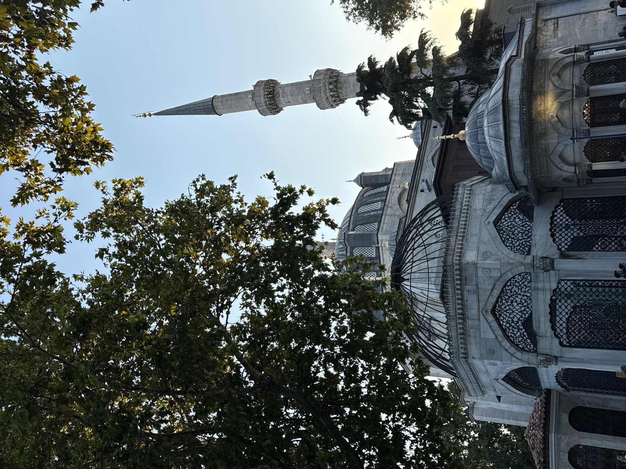 The image captures a low-angle view of the Şemsi Pasha Mosque in Üsküdar, Turkey, framed by the lush green foliage of a large tree. The mosque, constructed from light-colored stone, features a prominent, slender minaret piercing the clear blue sky. Intricate architectural details are visible, including a large, dark dome with a lattice-like exterior, smaller domes adorned with golden finials, and arched windows with decorative metalwork. The setting appears to be daytime, with the sun casting a warm glow, particularly on the upper portions of the mosque and the leaves of the tree. A few individuals are partially visible at the bottom of the frame, suggesting the presence of visitors or passersby in the vicinity of the mosque.