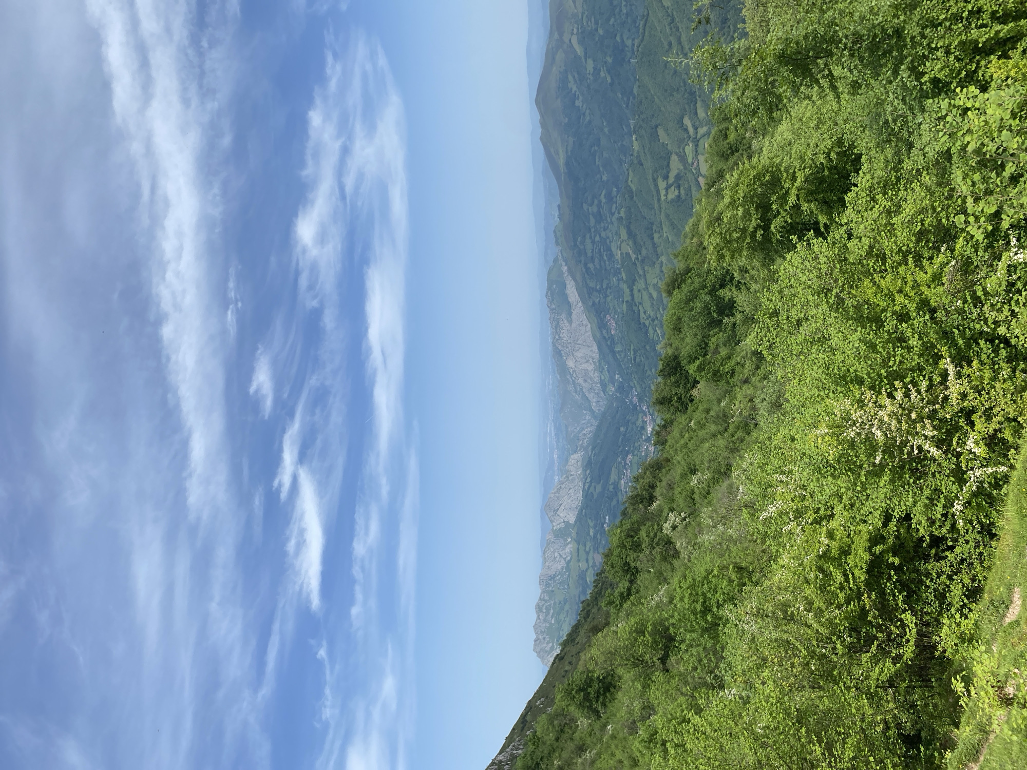 The image captures a landscape scene in Riosa, Spain. Lush green vegetation, including trees and shrubs, covers a steep hillside. In the distance, rolling hills and valleys stretch out under a hazy sky. A town or settlement is nestled amidst the landscape. The sky transitions from clear blue to slightly hazy with elongated white clouds.