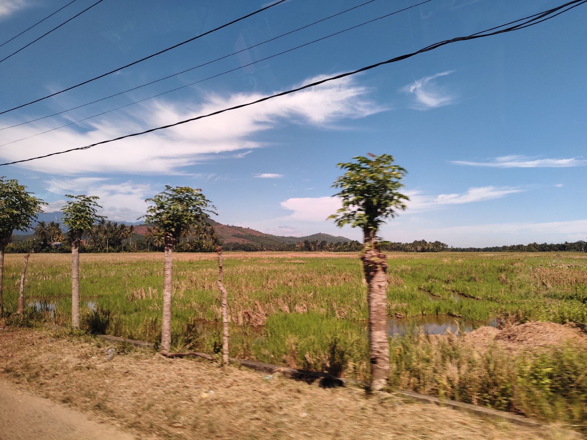 The image shows a rural landscape near Meunasahteungoh, Indonesia. The foreground consists of a dry, grassy roadside. A row of four slender trees with foliage concentrated at the top are planted near the road. Beyond the trees is a flooded rice paddy, interspersed with green and brown grasses. In the distance, a line of trees and a low mountain range are visible against a blue sky with wispy clouds. Power lines stretch across the upper portion of the sky. The photograph was taken from a moving vehicle, as evidenced by motion blur.