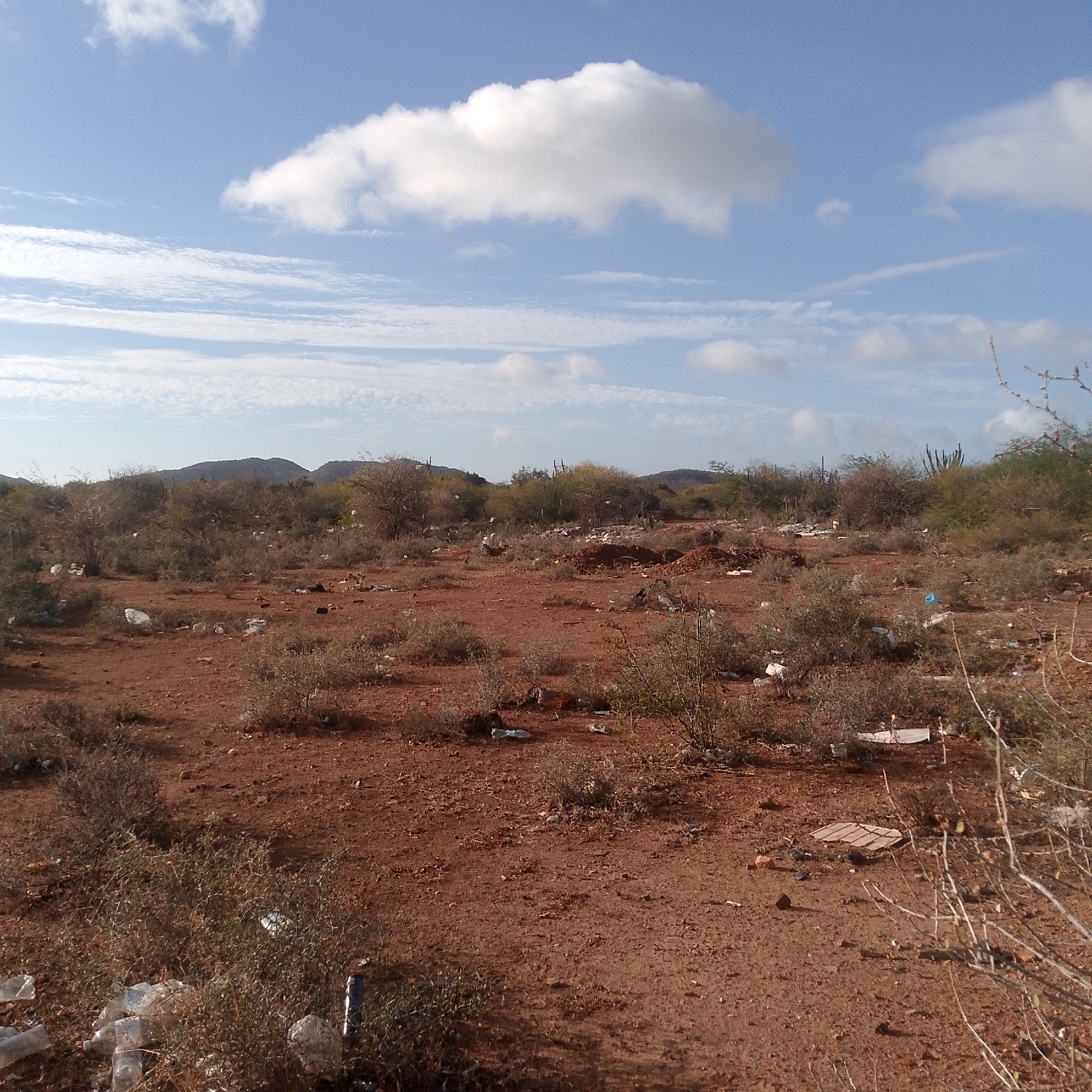 The image depicts a barren, red dirt landscape littered with trash. Scattered shrubs and small trees dot the foreground and midground, with low hills visible in the distance. The sky is blue with scattered clouds. The location is presumed to be in Altagracia, Venezuela, though there are no identifying landmarks to confirm this. There are no people or animals visible. The scene is characterized by environmental degradation due to the presence of widespread litter.