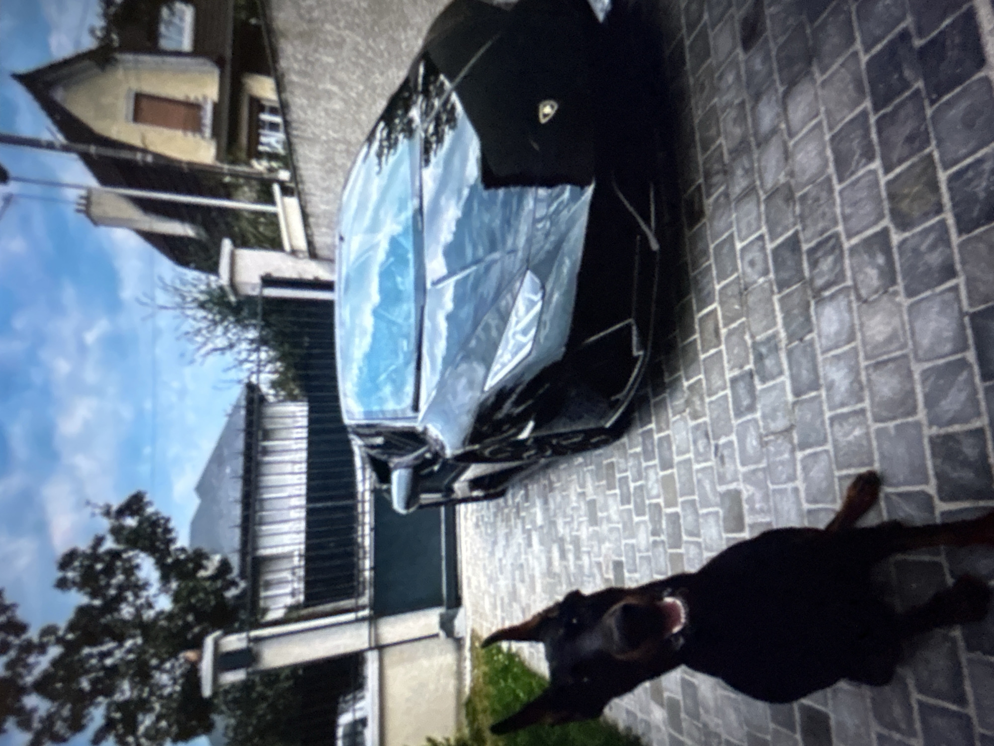 The scene depicts a black Doberman dog and a black Lamborghini Huracán sports car situated on a cobblestone driveway in the city of Burgas, Bulgaria. The Doberman, with erect cropped ears and an open mouth, sits in the foreground, positioned to the left, facing the camera. The Lamborghini Huracán is parked behind the dog and to the right, presenting its front facade towards the viewer, with reflections of the sky and surrounding environment visible on its glossy surface. The driveway consists of irregularly shaped grey cobblestones. In the background, beyond a dark metal gate, two residential buildings are visible: a multi-story structure with a dark roof and white-framed windows on the left, partially obscured by a large tree, and a light yellow house with a steeply pitched dark roof, a chimney, and brown window shutters on the right. The sky is clear blue with sparse white clouds.
