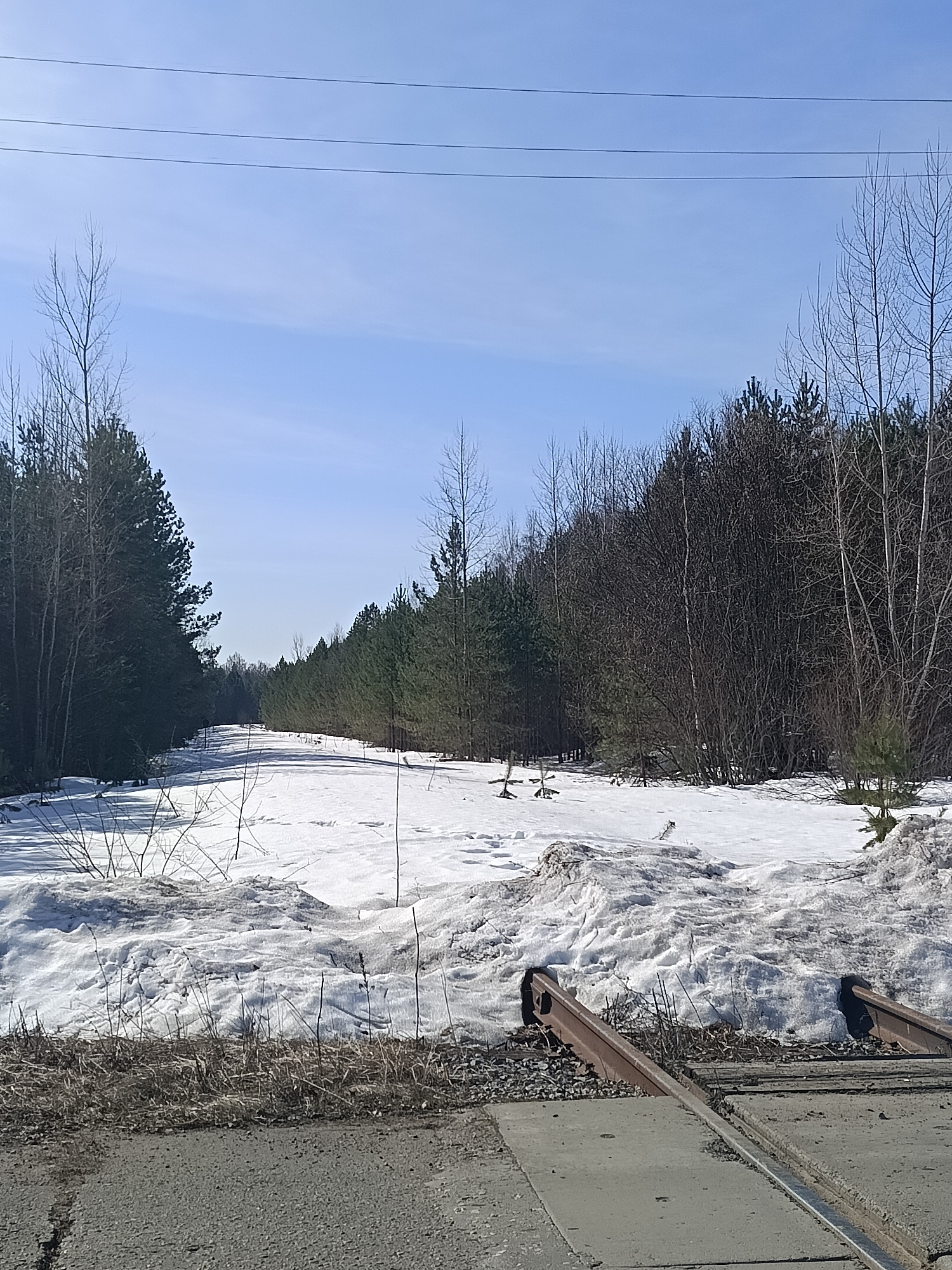 The image depicts a section of railroad track in a rural environment near Chaikovsky, Russia. The tracks run through a wooded area with snow still on the ground. The foreground shows the railroad ties and rails, with gravel ballast present. The tracks are broken in two spots. Snow covers much of the ground between the tracks and extends to the edges of the wooded area. Trees of varying types and sizes line both sides of the tracks, some evergreen and some deciduous without leaves. The sky is pale blue with some thin clouds visible. Overhead are power lines.