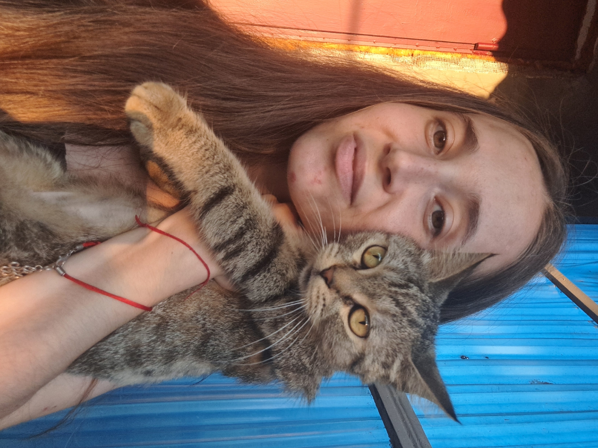 A young woman with long, brown hair is holding a tabby cat in front of a blue corrugated metal wall. The woman is looking at the camera with a neutral expression. The cat has yellow eyes and is looking at the camera. A red string bracelet is tied around the woman's wrist. The image appears to have been taken outdoors, possibly in Vypasne, Ukraine, given the context provided. The lighting suggests it might be late afternoon or early evening, with warm sunlight casting shadows.