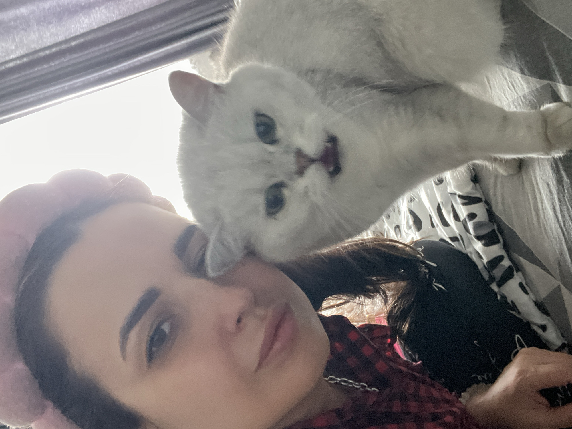 A woman with a pink headband lies down, while a white cat leans in and looks at her. The woman is wearing a red and black plaid shirt with a silver necklace. The cat is close to the woman's face. The scene appears to be indoors, possibly on a bed. A window with blinds is visible in the background. The location is Unknown, Unknown.