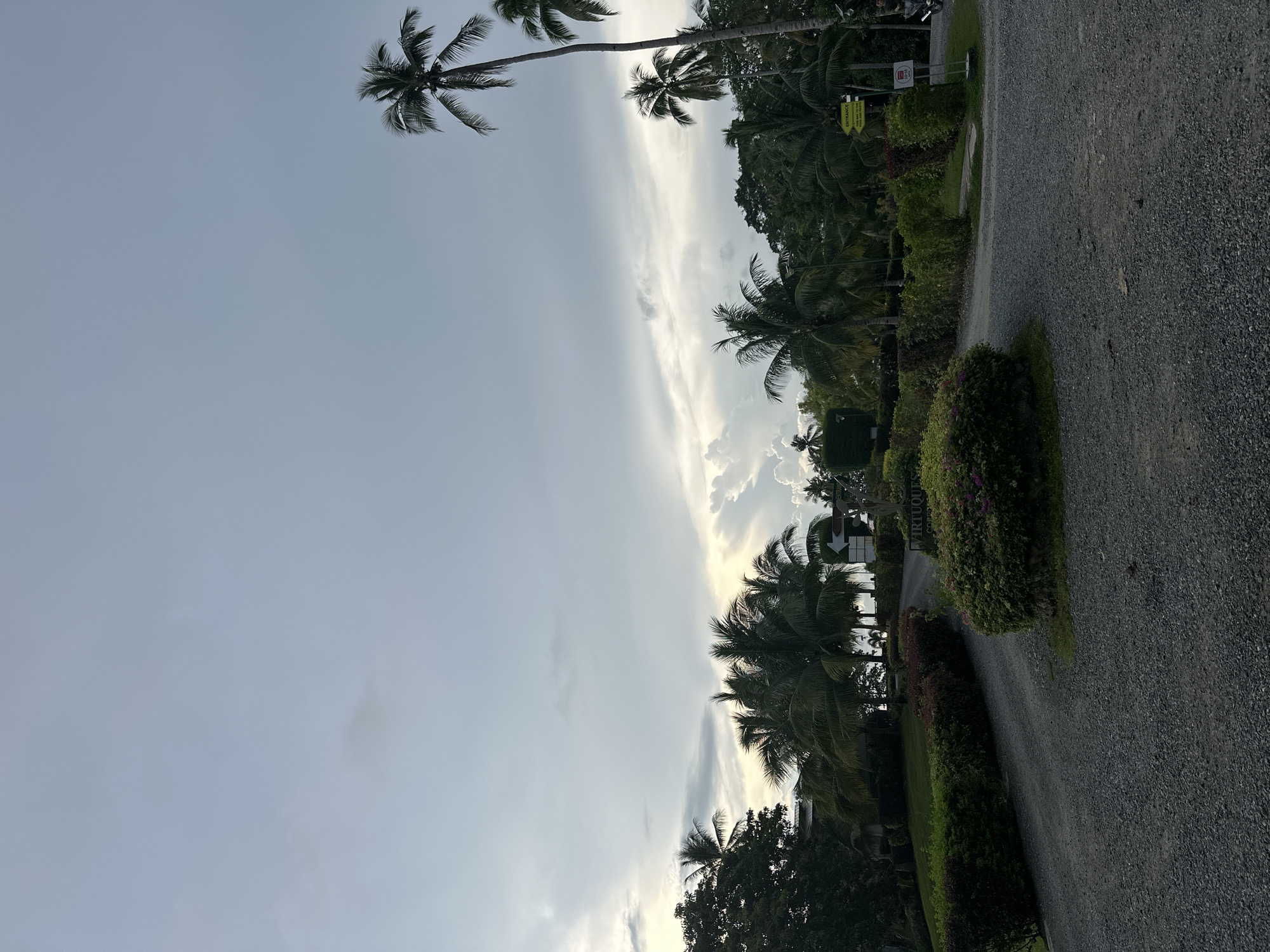 The image depicts a driveway leading into a resort area, likely in Samal, Philippines, given the presence of numerous palm trees. The sky is overcast with a mix of light and dark clouds, suggesting either early morning or late afternoon. The driveway is covered with gravel, and on either side are neatly trimmed hedges and lush green grass. In the background, more palm trees and other tropical foliage are visible, interspersed with some structures that appear to be part of the resort. A signpost with an arrow pointing to "ENTRANCE" and text indicating "This way to the pool and resto" is visible on the right side of the driveway. Another sign, possibly indicating rules or information, is also present. There are no people clearly visible in the scene, but a motorcycle is parked on the right side near the entrance sign. The overall impression is one of a tropical, well-maintained resort entrance.