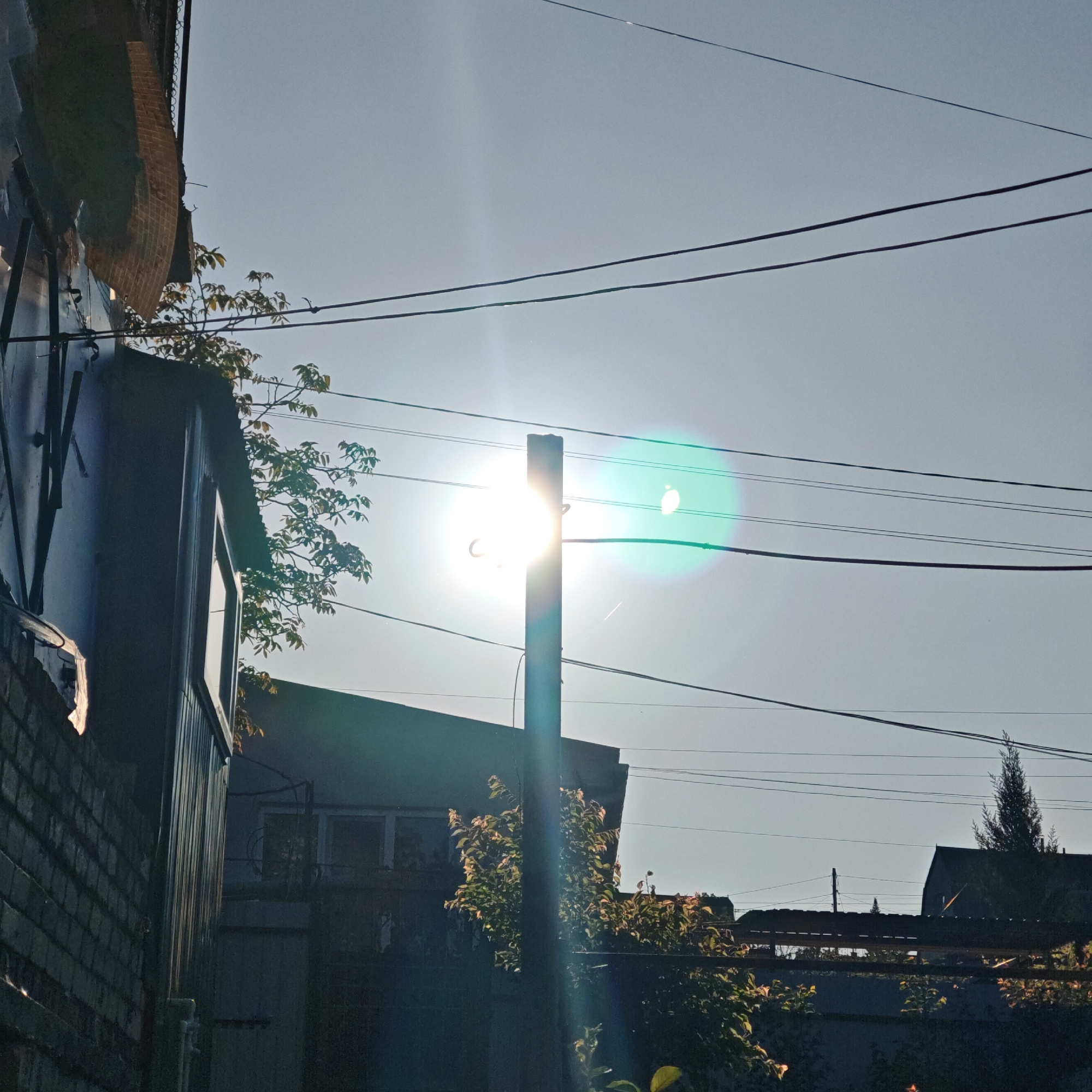 The photograph depicts a street scene in an urban environment. Overhead power lines crisscross the sky. A pole is positioned in the foreground, with the sun directly behind it, creating a lens flare effect. Buildings with brick and siding exteriors are present on the left, while another building with a gabled roof is visible in the background. Vegetation is interspersed throughout, including trees and possibly climbing plants. The overall scene is dominated by the bright sunlight, which washes out some details.