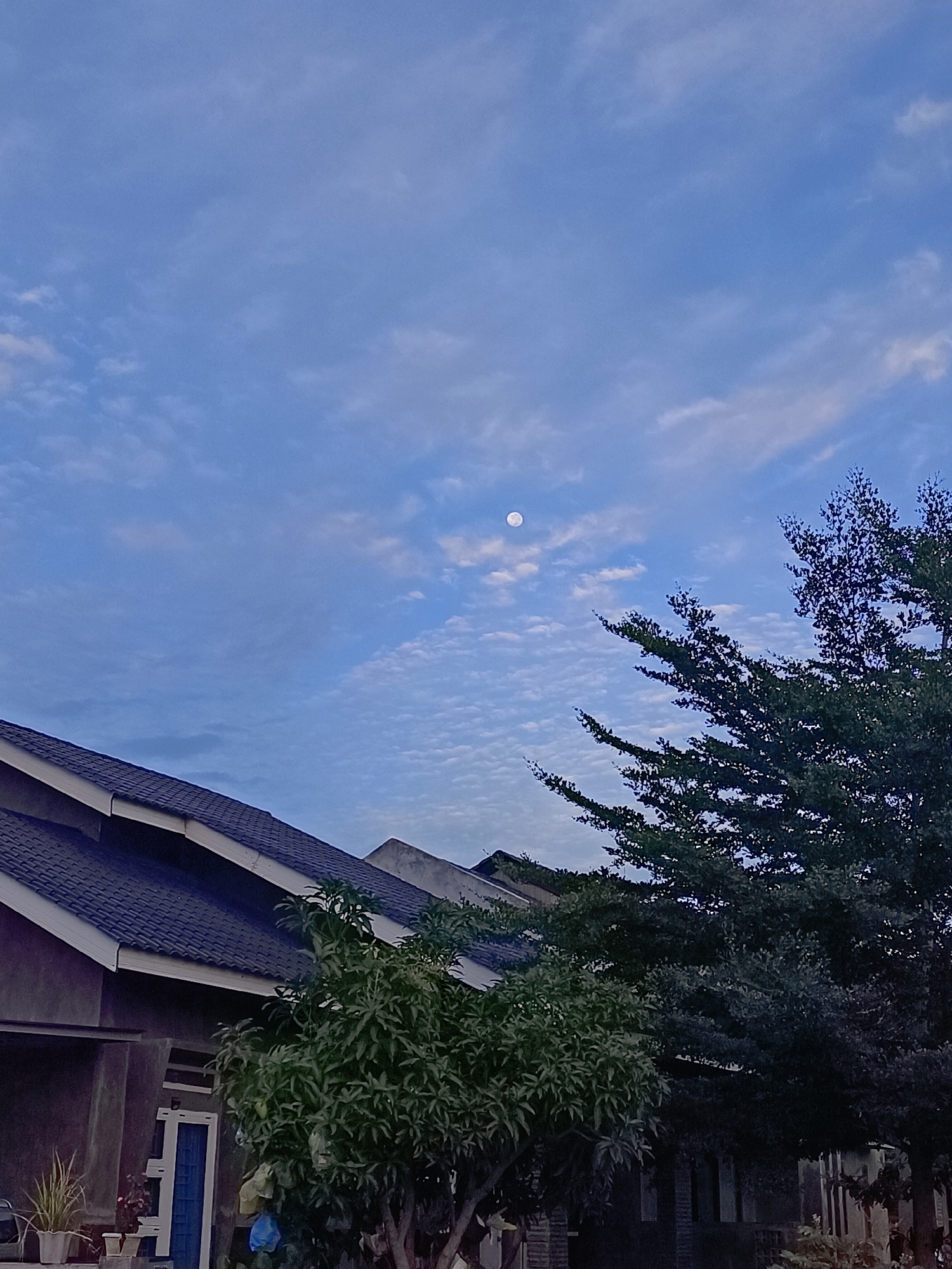 The image shows a residential scene in Meunasah Raya, Indonesia, under a daytime sky with scattered clouds and the moon visible. In the foreground to the left, the dark-tiled roof of a house is prominent, with a portion of the gray exterior wall visible. A blue door is present on the front of the house, and several potted plants are situated outside. To the right of the house, lush green trees are visible, one appearing to be a smaller fruit tree and another a larger, darker tree with dense foliage. The sky is a pale blue with a texture of small, wispy clouds. The moon, a small, bright circle, is located in the upper left quadrant of the sky. The overall impression is a tranquil view of a residential area during daylight hours.