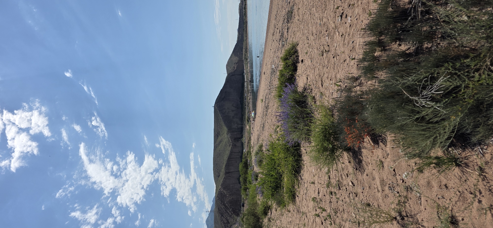 This image captures a daytime scene at a beach in Tosor, Kyrgyzstan. The foreground is dominated by sandy terrain with sparse, dry vegetation, including some green bushes and a cluster of orange wildflowers. In the midground, the sandy beach slopes down to the calm, blue water of Issyk-Kul lake. Along the shoreline, there are several green bushes, some with purple flowers, and a few small tents. A few people are visible in and near the water, suggesting recreational activity. In the background, a large, green, mountainous hill rises steeply from the opposite shore, its sheer rock face forming a dramatic backdrop. The sky is a clear blue with scattered white clouds. The overall impression is a serene, natural landscape with a body of water and surrounding hills.