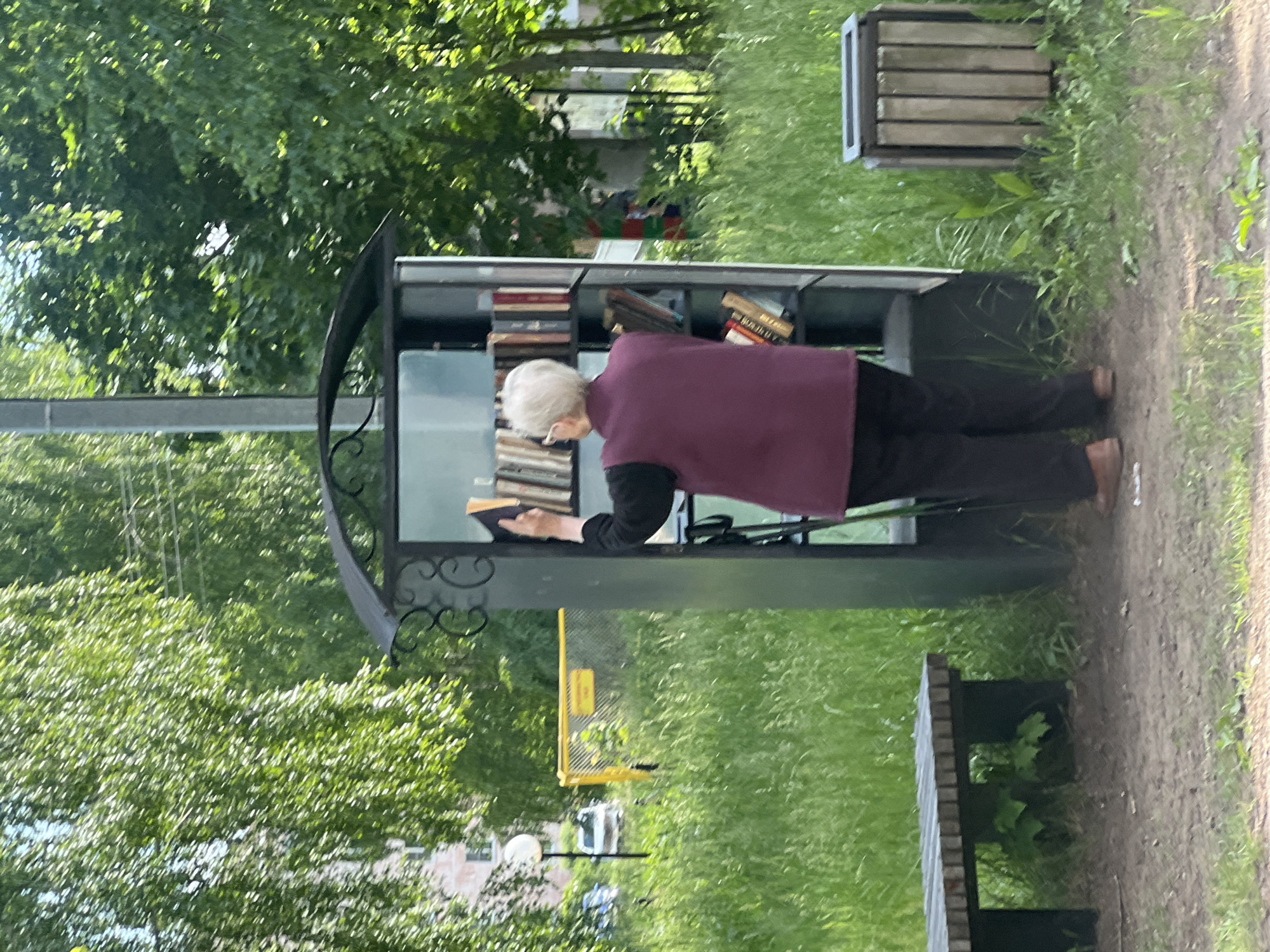 In the city of Noviy, Russia, an outdoor scene unfolds under bright daylight. The primary subject is an elderly woman, viewed from behind, standing before a dark-colored, ornate book-sharing cabinet. She has short, white hair and is dressed in a dark long-sleeved top, a maroon sleeveless vest, dark trousers, and brown flat shoes. Her right hand is raised, interacting with books displayed on the top shelf of the cabinet. A dark cane or support stick leans against the left side of the cabinet, near her.
The book-sharing cabinet features a curved, decorative metal top with scrollwork on its upper sides. Its transparent front reveals multiple shelves filled with various books, standing upright.
To the left of the cabinet, a rustic wooden slatted bench rests on a dirt path with sparse grass. To the right of the cabinet, a wooden slatted trash receptacle with a dark frame is situated. The ground immediately surrounding these objects is a mix of dirt and short grass.
The background is predominantly green with abundant foliage from numerous trees and tall grass, suggesting a park-like or natural area within an urban setting. In the distant left background, a light-colored building with multiple windows is visible, partially obscured by trees. A white spherical street lamp on a dark pole stands near the building. Further back, two parked cars, one white and one blue, are discernible. A yellow metal fence with an unreadable yellow sign is also present on the left side of the mid-ground. On the far right, behind trees, a distant, partially obscured figure or object with vertical red and green stripes can be faintly seen.