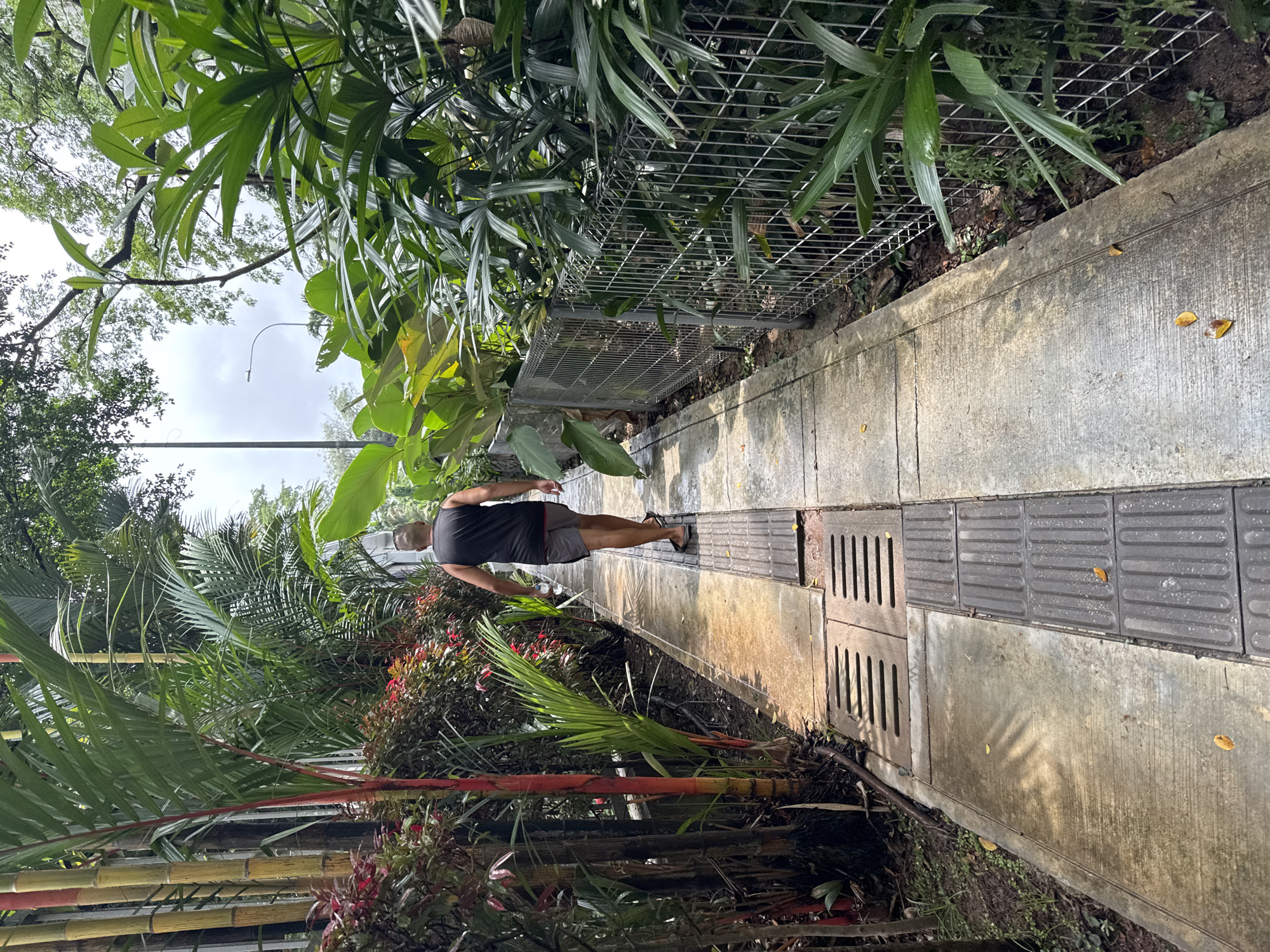 A man is walking on a concrete pathway through a lush, tropical urban landscape. The pathway has tactile paving and metal grates. Dense vegetation, including bamboo, palms, and flowering plants, flanks the path. A metal fence borders the walkway on one side. The sky is overcast. The location appears to be an urban park or green space in Kuala Lumpur, Malaysia, suggested by the tropical flora.