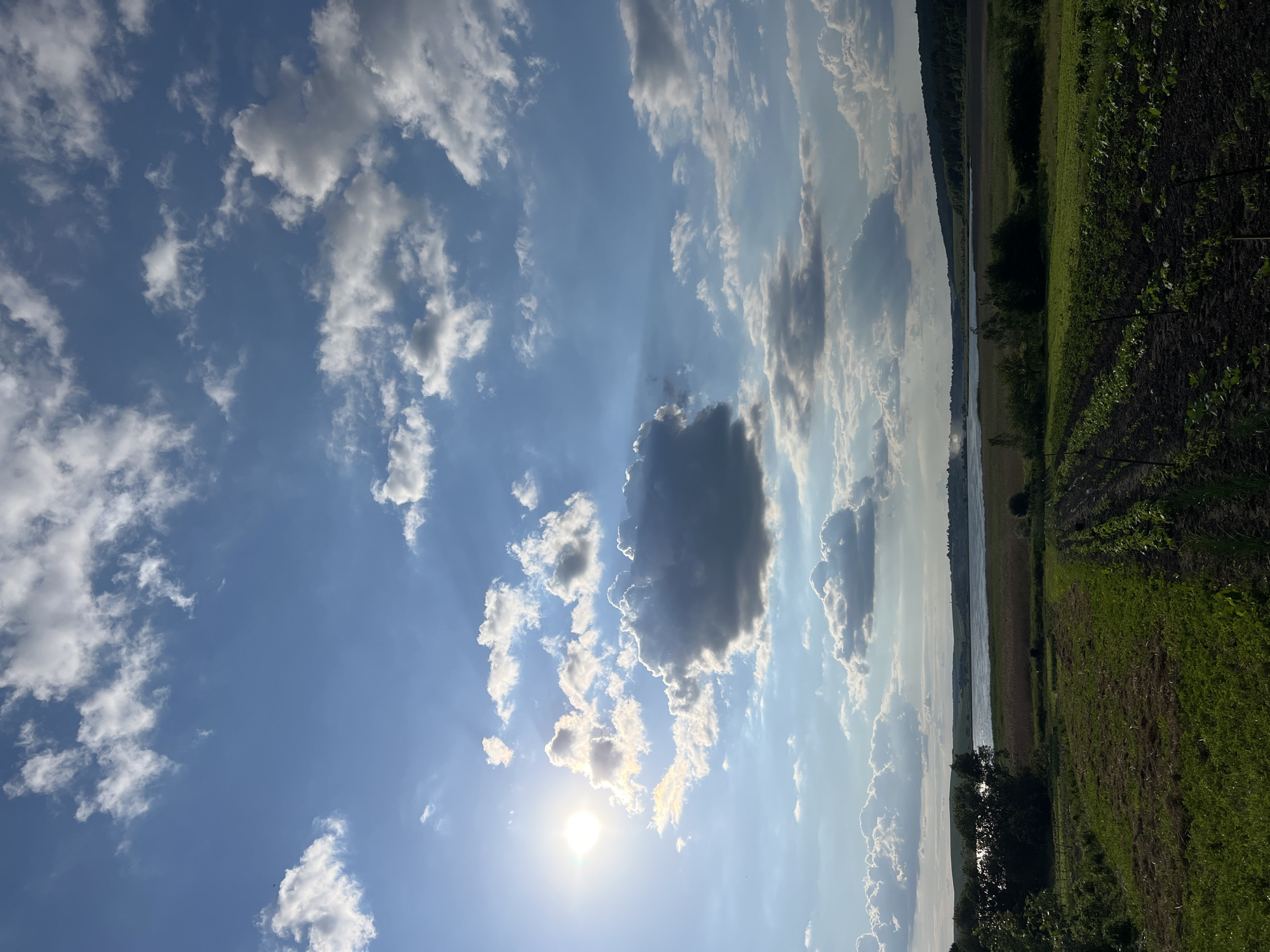 This media file shows a wide view of a rural landscape under a bright, partly cloudy sky. The sun is visible, appearing as a bright white orb with rays emanating outwards, suggesting it is midday. The sky is a vibrant blue with scattered white and grey clouds.
The landscape features a body of water, likely a river, stretching horizontally across the middle ground, bordered by distant hills covered in dense green foliage. To the right of the water, there is a cultivated field with rows of green crops, indicating agricultural activity. Some areas of the field appear to be freshly tilled soil. In the foreground, on the right side, there are darker patches of soil and some young plants, possibly part of the same agricultural field. Some small trees are visible along the edge of the water and within the landscape.
The image is oriented vertically, with the sky taking up the majority of the frame on the left and the landscape filling the right side. The lighting suggests a sunny day, possibly with some intermittent cloud cover. The overall mood is serene and natural, capturing a peaceful rural scene. There is no visible text in the image.