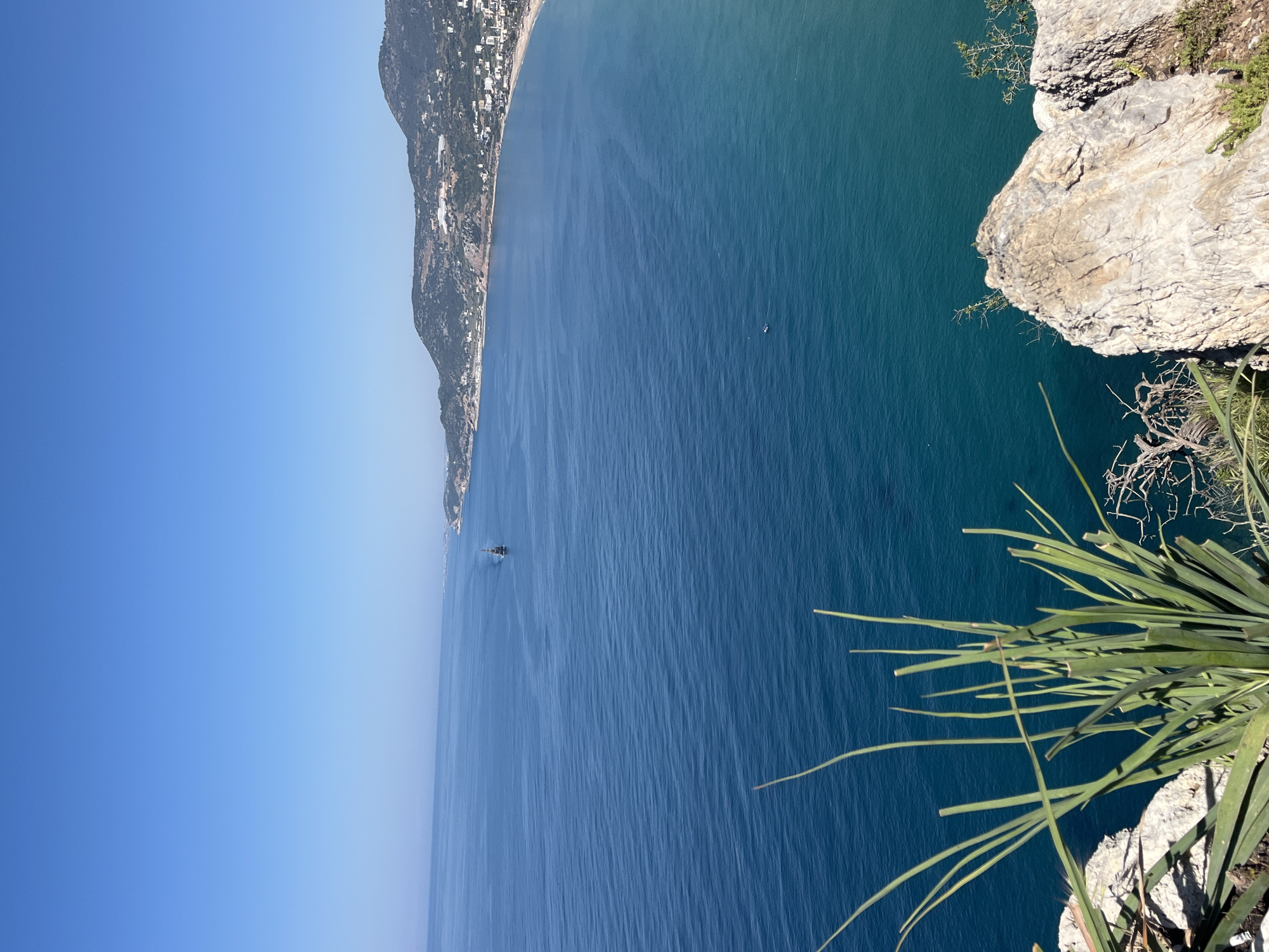 The image presents a stunning, expansive coastal landscape viewed from a high vantage point, overlooking the Mediterranean Sea in Alanya, Turkey. The perspective is from a cliff edge, capturing a panoramic vista under a clear, bright blue sky.
The vast body of water dominates the central and right portions of the frame, displaying various shades of blue and turquoise, with subtle ripples indicating calm conditions. The distant coastline stretches across the left side of the image, where verdant hills are dotted with numerous white buildings, suggesting a developed coastal area or resort town.
In the foreground, to the bottom right, a rugged, light-toned rock cliff face is prominently featured. Green, spiky vegetation, resembling a type of agave or yucca, grows on the cliff and extends into the frame, with some fronds overhanging the precipice. Some dry, thorny branches are also visible.
On the sea, at least two distinct vessels can be observed. One, appearing larger and dark-colored, resembles a ship or a substantial boat, positioned further out from the distant shore. Another smaller, white boat is visible further into the open water, suggesting recreational activity.
The scene depicts a bright, clear day, likely late morning or early afternoon, with abundant sunlight and no clouds. The overall impression is one of serene natural beauty and the vastness of the sea meeting the land. No people or visible text are present in the image.