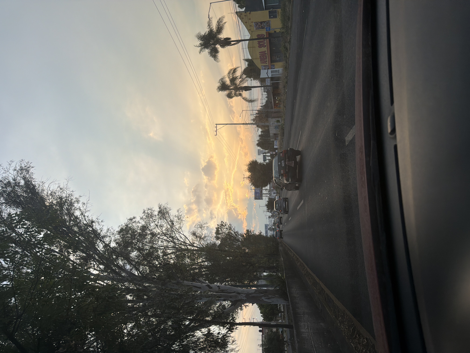 The image depicts a street scene in Puebla, Mexico, viewed from inside a moving vehicle. The view is through the windshield with the car's frame visible on the right. The street has multiple lanes of traffic, with several cars visible in the distance. Palm trees line the roadside, and buildings are visible on the far side of the road. The sky is a mix of cloudy and clear, with the sun appearing to be setting or rising, casting a bright light through the clouds. A large tree with dense foliage is seen on the left side of the frame.