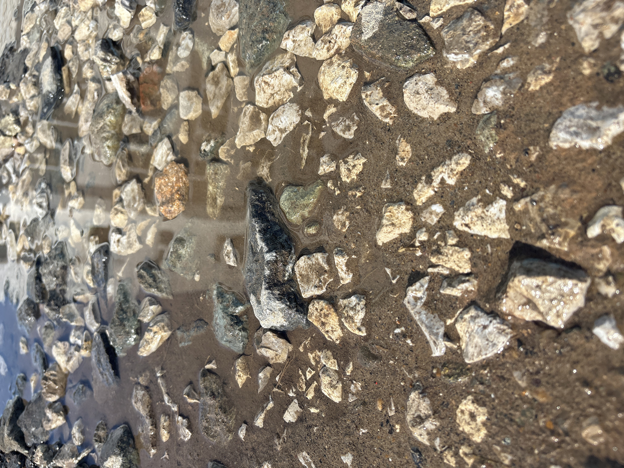 The image shows a close-up view of a gravel surface partially submerged in water, likely on a street or path. The left side of the image has more water coverage, reflecting the sky. The right side shows a mix of dry gravel and mud. The gravel consists of various sizes and colors, ranging from dark gray and brown to lighter tan and white. The scene appears to be outdoors in daylight. Without further information, pinpointing the exact location in Chaikovsky, Russia, is impossible. There are no visible people, subjects, objects, actions, or interactions except the gravel, water, and mud.