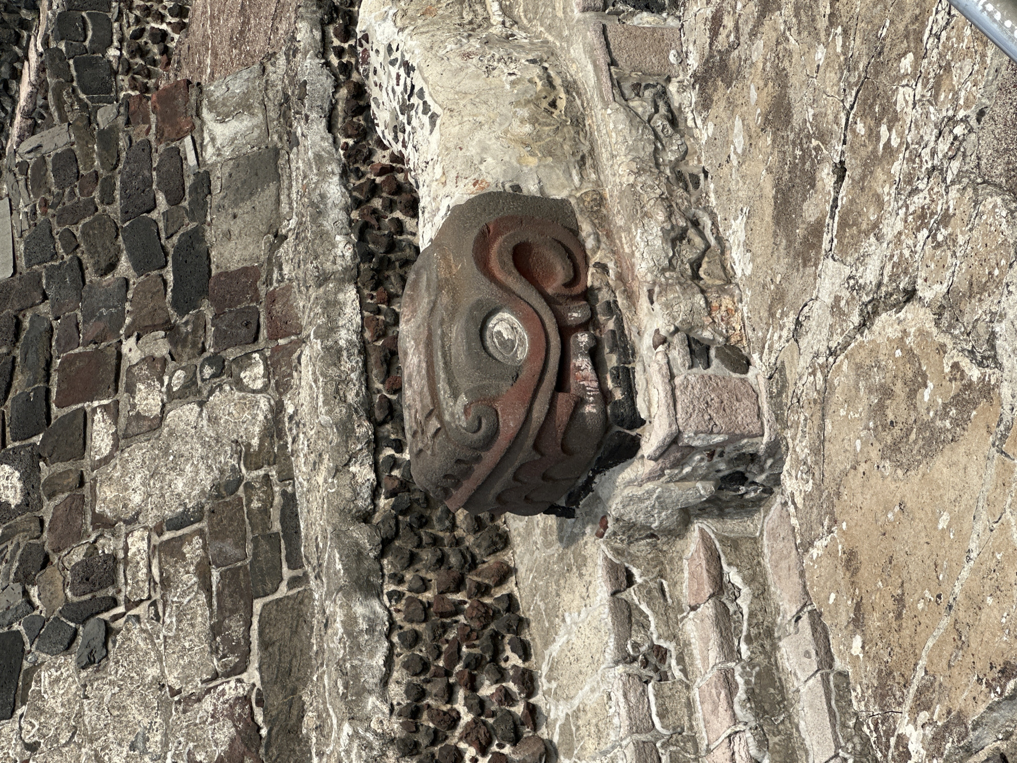 This image depicts a stone carving of a stylized serpent head, set within the architectural stonework of the Templo Mayor in Mexico City, Mexico. The serpent head is predominantly gray with reddish-brown accents highlighting its curved form and an eye rendered with a concentric circle design. The carving projects from a light-colored stone wall section. The surrounding stonework is composed of irregularly shaped stones. To the left of the serpent head, the stonework is made of darker stones. A small strip of pebbles separates the two areas. The environment exhibits signs of age and weathering on the stones.