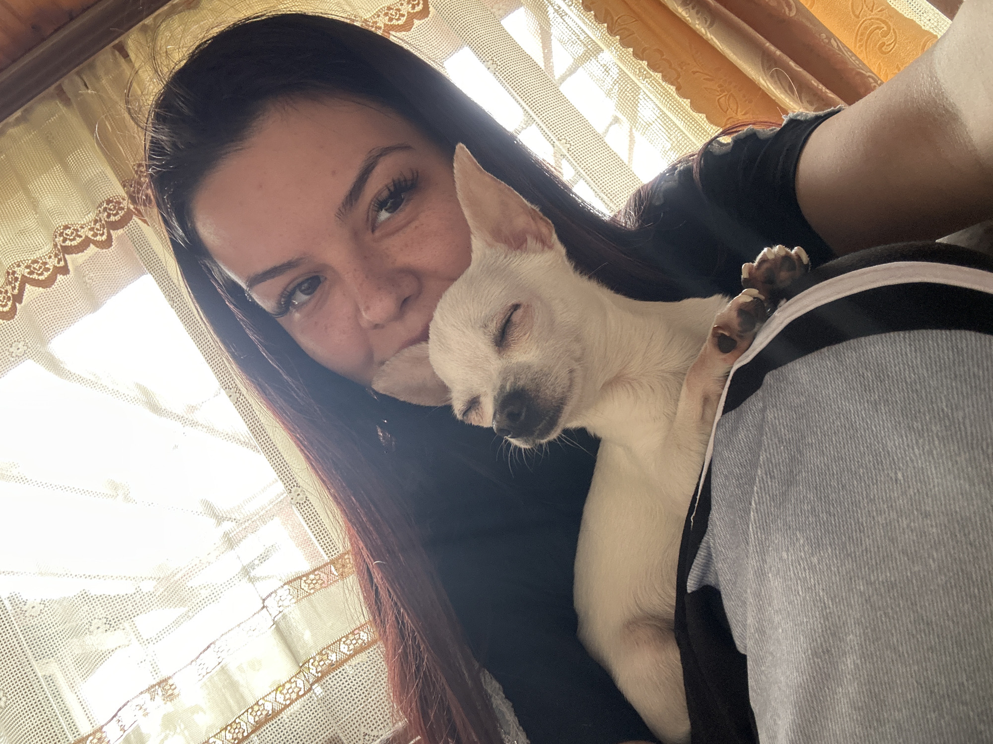 A woman with long dark hair and freckles is holding a small, sleeping white Chihuahua. The woman is wearing a black shirt and what appears to be gray pants with a black stripe. The background features a window with lace curtains. The location is not specified within the image.