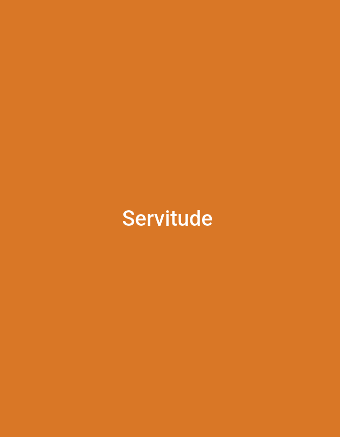 The image is a full-frame shot of an orange background. In the center of the image, the word "Servitude" is written in white, sans-serif text. There are no other objects or people present in the image.