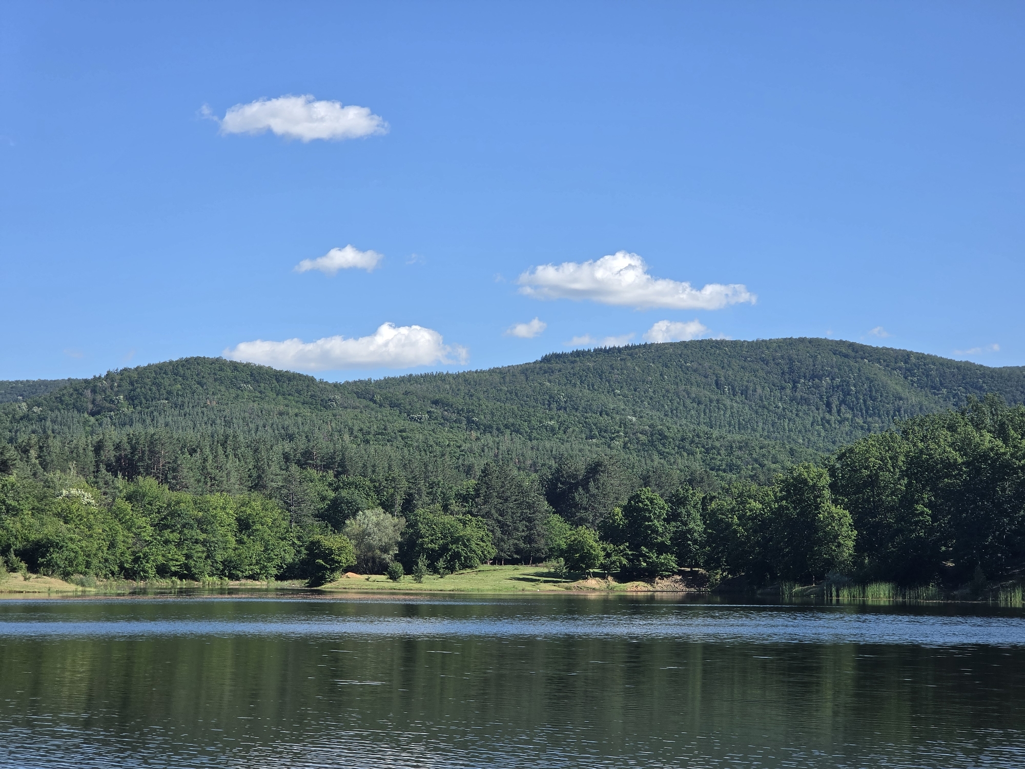 The image depicts a serene lake with a reflection of the lush green trees and rolling hills in the background. The sky is a vibrant blue with scattered white clouds. The scene is likely a natural landscape, possibly in or around Osetenovo, Bulgaria, given the context. There are no people or animals visible in the frame. The focus is on the natural beauty of the environment, with the water, trees, and hills creating a picturesque view. The overall impression is one of tranquility and natural abundance.