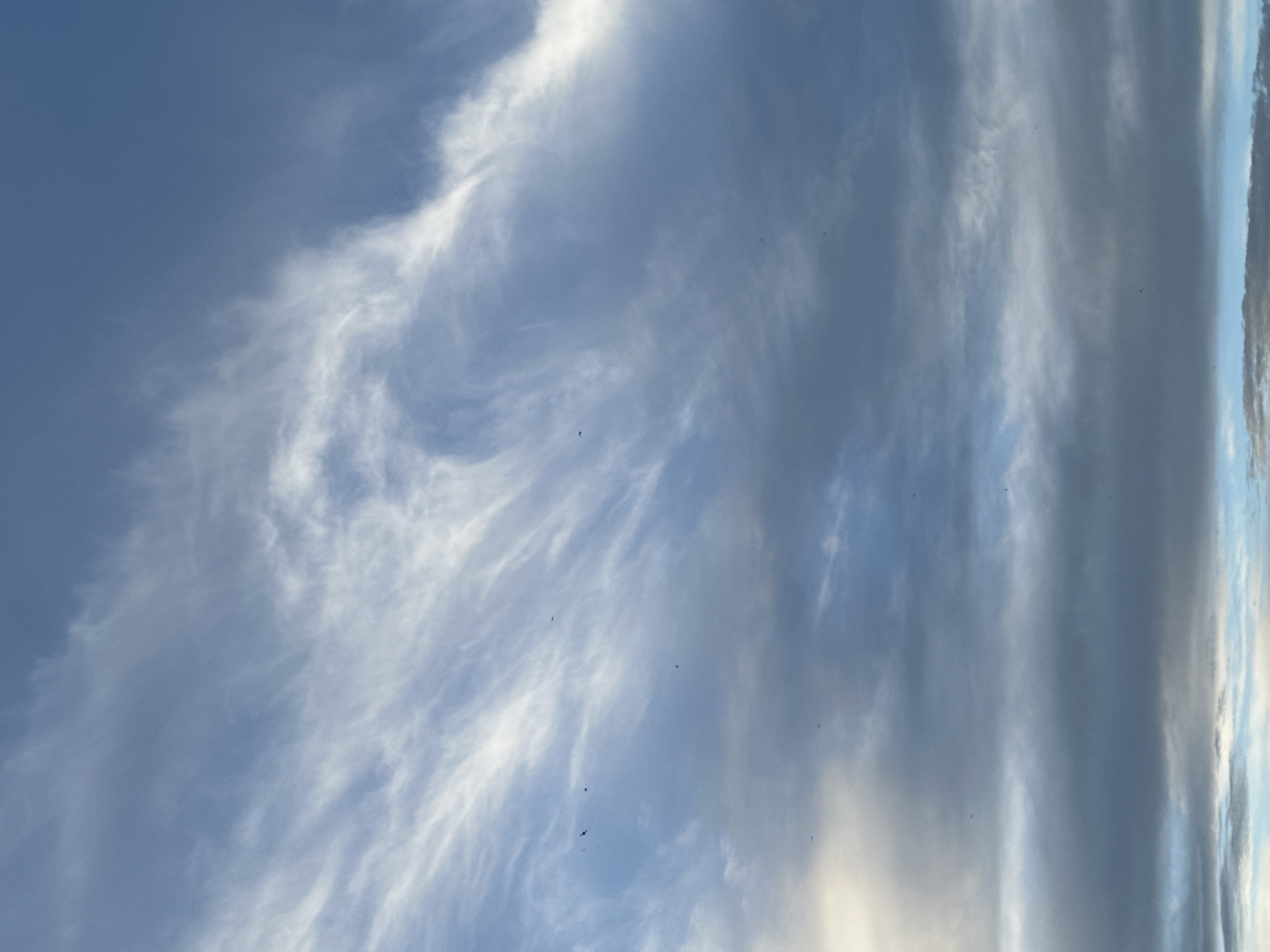 The image shows a daytime sky with cirrus clouds. The sky is blue, with wispy, white clouds scattered throughout. A few small, dark shapes that could be birds are also visible. The location is unknown.