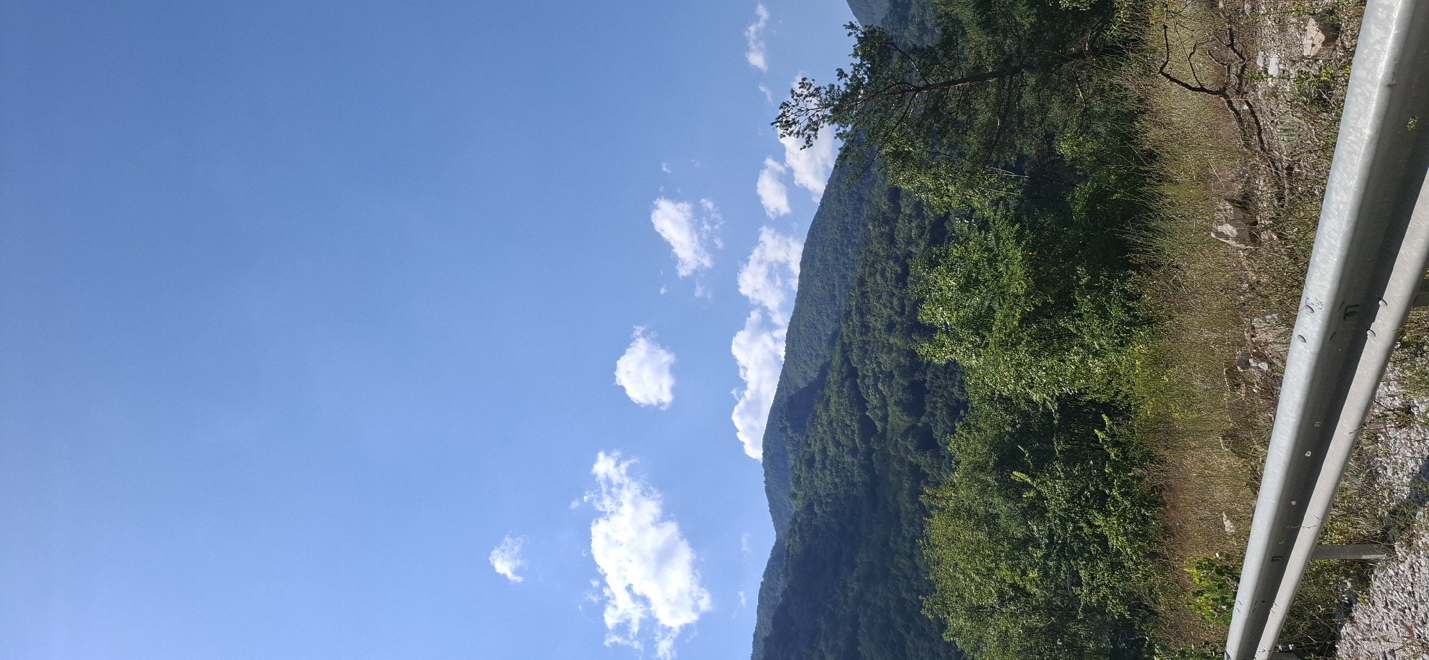 The image shows a panoramic view of a mountainous landscape under a clear blue sky with scattered white clouds. The foreground features a weathered metal guardrail alongside a gravel road. Beyond the road, dry grasses and some rocks are visible, with a dense green forest covering the lower slopes of the mountains. The mountains themselves are heavily forested, with the dark green foliage stretching up to the peaks. A tall, slender pine tree stands prominently on the right side of the frame, partially obscuring the mountain view. The overall scene suggests a natural, undeveloped area, likely in a rural or mountainous region. The image is taken from a low angle, looking upwards towards the mountains.