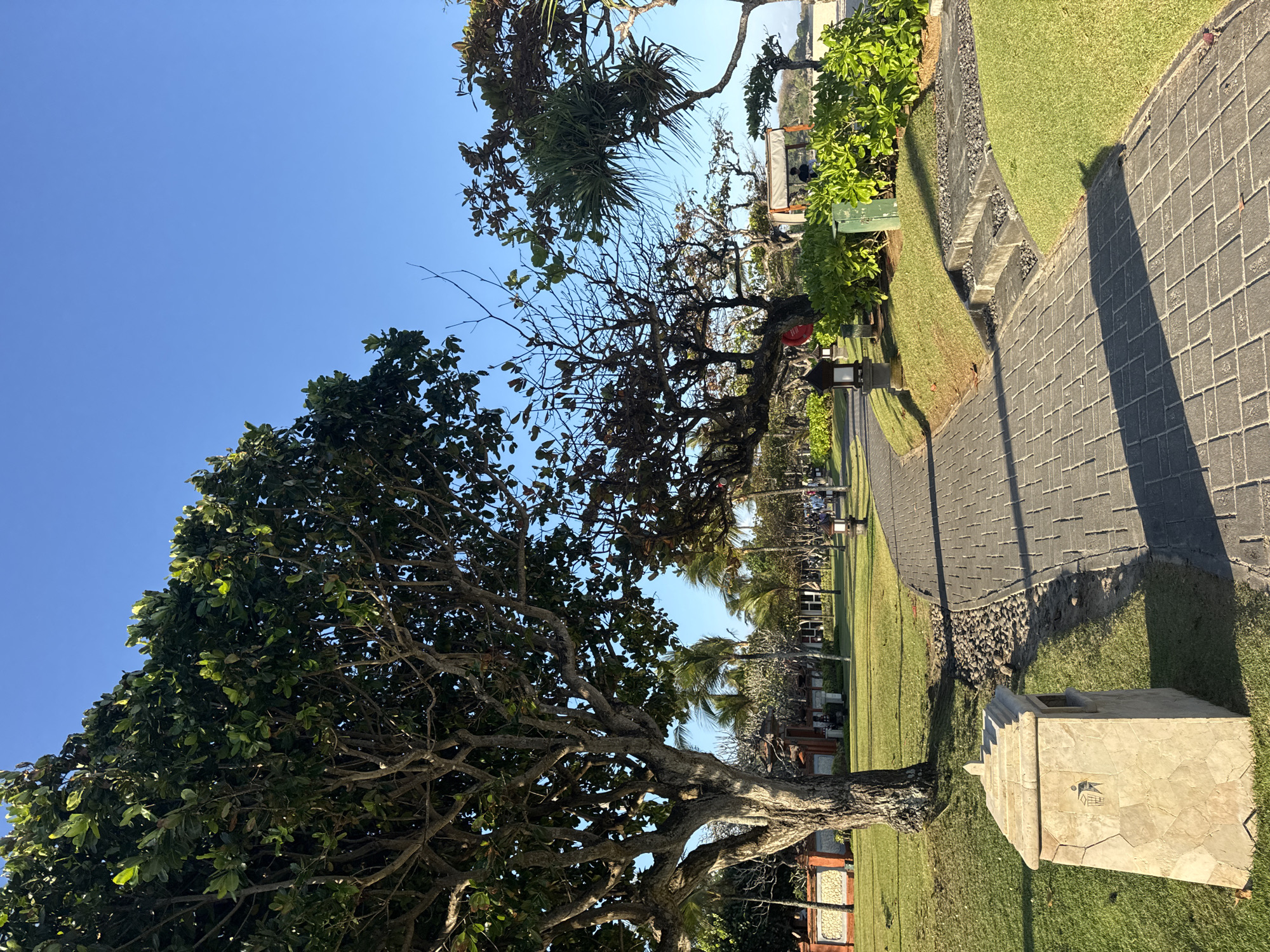 A paved walkway curves through a manicured lawn in Kuta Selatan, Indonesia. The walkway is made of grey brick pavers and is bordered by lush green grass. On the left side of the walkway, a large tree with a thick trunk and dense foliage dominates the scene. A stone trash receptacle with a recycling symbol is positioned in front of the tree.
Further along the walkway, several smaller trees and bushes are visible. In the background, a low wall with intricate carvings can be seen, with more vegetation and buildings beyond it. Several people are walking along the path in the distance, some appearing to be tourists. The sky is a clear, vibrant blue. The scene suggests a well-maintained public area, possibly a resort or a park, in a tropical environment.