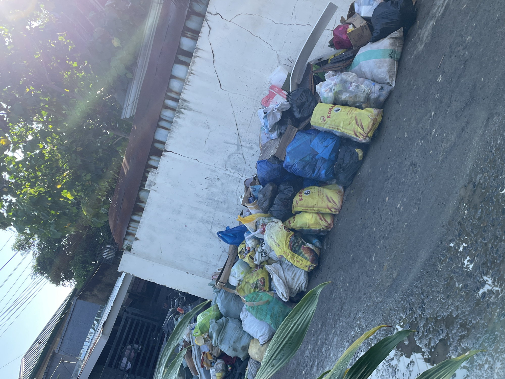 This image depicts an outdoor scene in Davao City, Philippines, showcasing a large pile of accumulated waste alongside a building. The primary subject is a substantial quantity of trash and recyclables, predominantly contained within numerous plastic bags of various colors including black, blue, yellow, white, and green. Many of these appear to be repurposed sacks, possibly for rice or other goods. Cardboard boxes are also interspersed within the refuse.
The waste is piled against a weathered, white-painted wall exhibiting cracks and discoloration, with a dark corrugated roof structure above it. To the left, lush green tree foliage is visible, with bright sunlight causing a prominent lens flare, indicating a clear, sunny daytime. The ground in the foreground is a dark, rough paved surface with noticeable wet patches or puddles. Large green leaves of a plant are seen in the lower right corner, partially obscuring the trash. In the background, other simple buildings and overhead utility lines are faintly visible under a bright sky. No individuals are present in the frame.
Visible text on some of the bags includes: "KORAKU PLUS", "KOHA", "SPECIAL FRAGRANCE", "POWER GRAIN", "SOFILLER", "SS OF MILLER", "SOXSCHEI (WHITE)", "CHOCOLALA", and "SEOAL PRAGH". The scene suggests an unofficial dumping site or an area awaiting waste collection, highlighting potential waste management challenges.