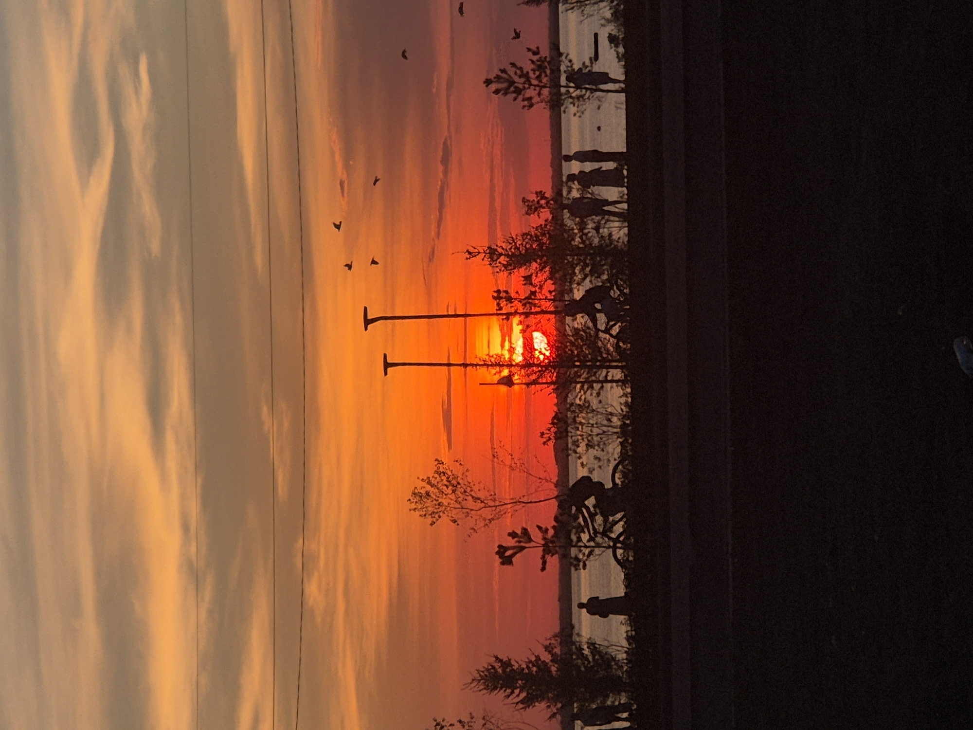 The image depicts a vibrant sunset over a body of water, possibly a lake or river, in Kokshetau, Kazakhstan. Silhouettes of people are visible along the waterfront, engaged in various activities. One person is on a bicycle, another appears to be standing, and a group of three figures are clustered together. Further down the waterfront, another individual stands alone. Trees and lampposts are silhouetted against the fiery orange and red sky, with a few birds flying in the distance. The foreground is dark, obscuring any details of the ground or immediate surroundings. The overall scene suggests a public area, perhaps a park or promenade, where residents are enjoying the evening scenery.