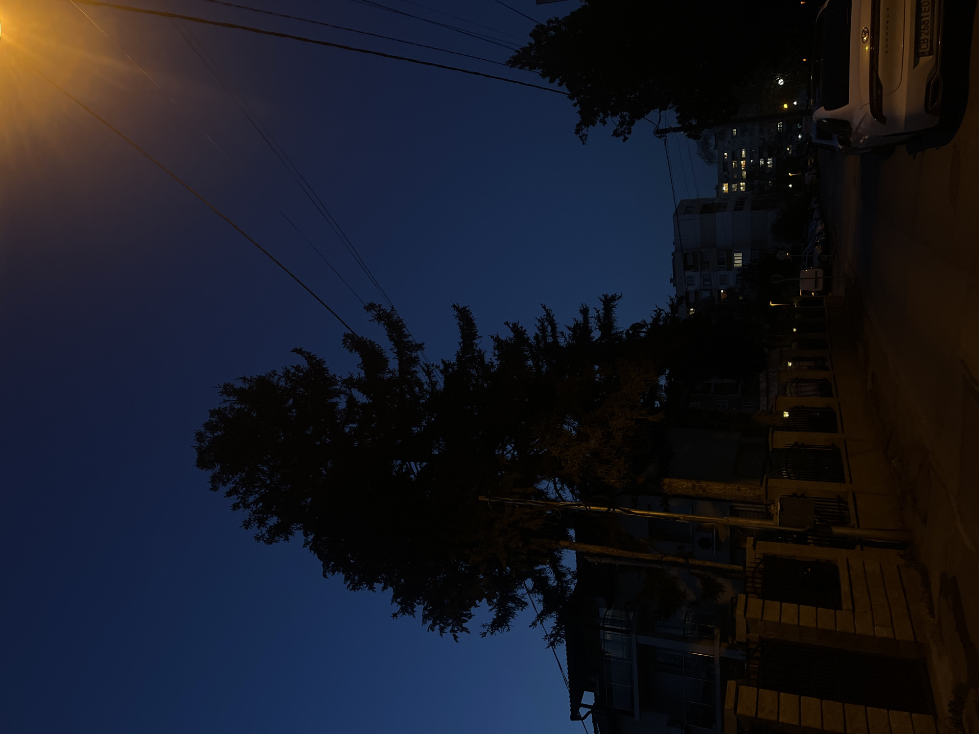 The image depicts a street scene at night in Sofia, Bulgaria. A tall, dark tree dominates the left side of the frame, silhouetted against a deep blue sky. Overhead, power lines crisscross the sky. On the right, a white car is parked alongside a sidewalk and low brick wall. A multi-story residential building with illuminated windows stands in the background, further down the street. The street itself is dark, with faint illumination from streetlights.