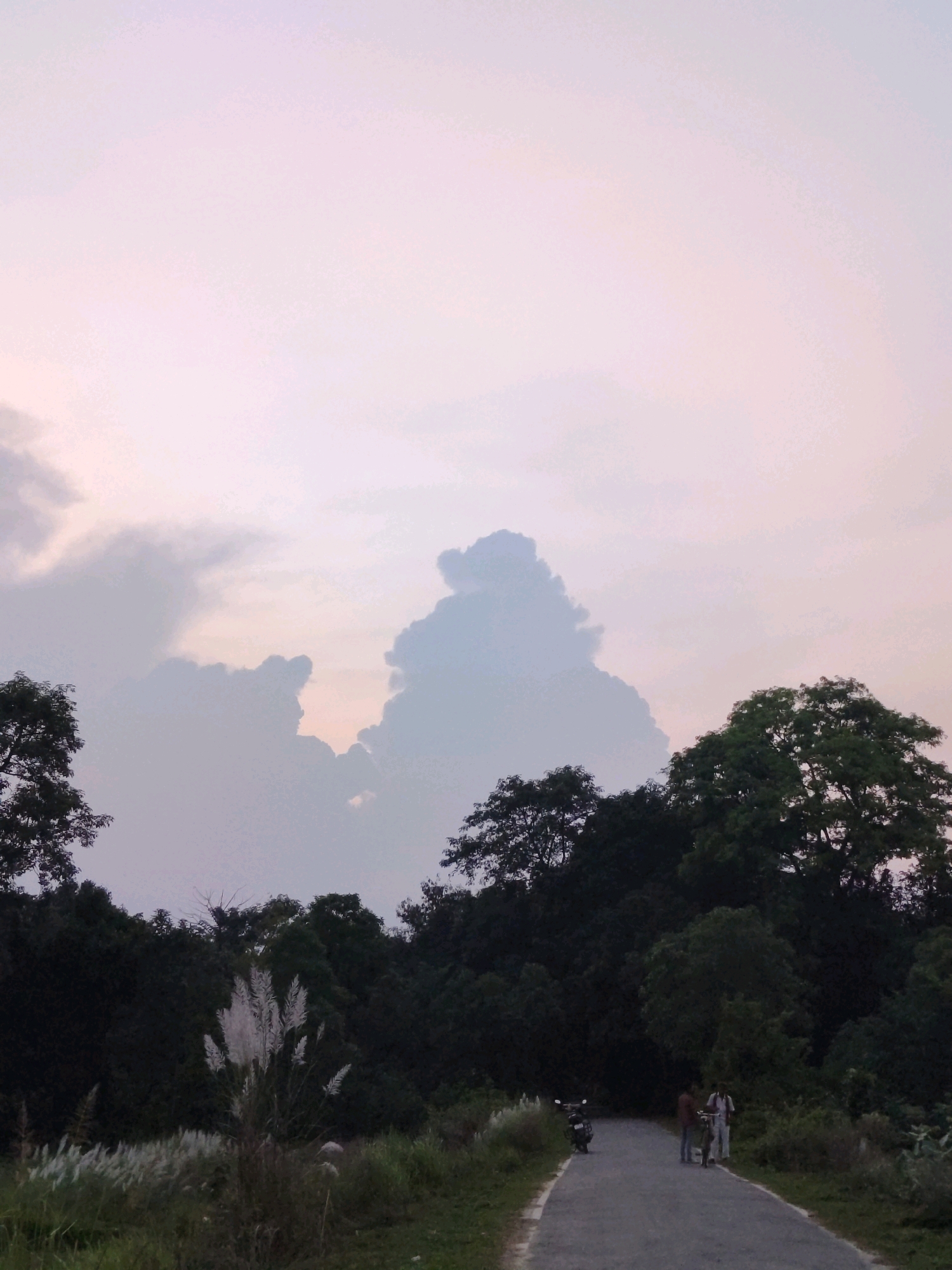 An outdoor, low-angle, vertical shot captures a serene rural landscape in Raghuni Dehat, India. The sky, illuminated by the soft hues of dawn or dusk, transitions from a pale pink at the top to a lighter, almost white shade near the horizon. Dramatic, silhouetted clouds, tinged with a faint grey, dominate the upper half of the frame, with a prominent, fluffy cloud formation resembling a stylized human figure in the center.
A dense line of dark green trees forms a natural border across the middle ground, with the silhouettes of their branches and leaves sharply defined against the sky. In the foreground, a paved road curves gently from the bottom right towards the upper left. A black motorcycle is parked on the left side of the road, and two figures, one carrying a bicycle, stand together near the center of the road. To the left of the road, a patch of tall, white, feathery grass stands out against the darker vegetation and ground. The overall atmosphere is tranquil and natural, showcasing the understated beauty of the Indian countryside.