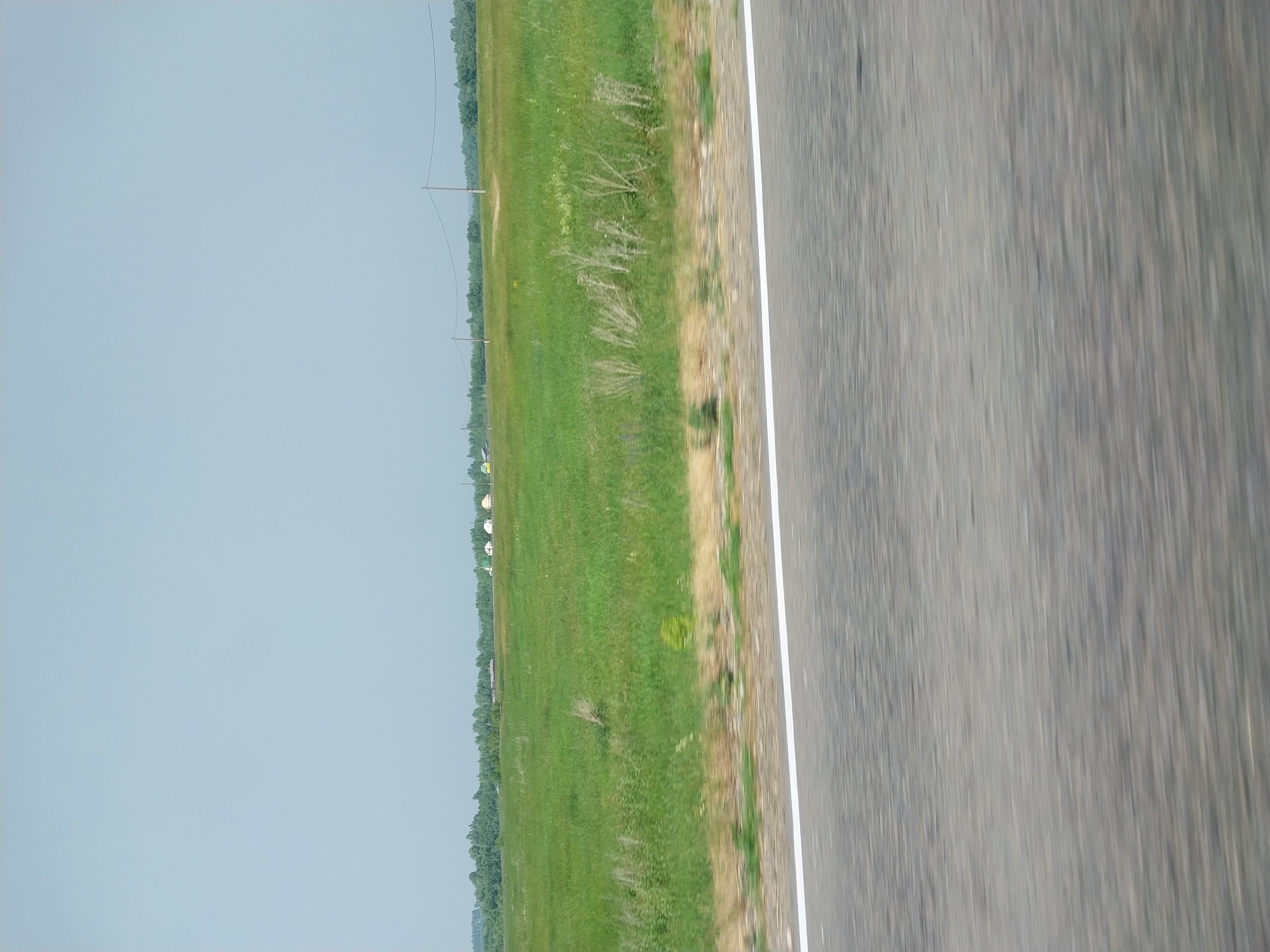 The image shows a view from a moving vehicle on a road in Sychevka, Russia. The road is paved with asphalt and has a white line marking its edge. To the left of the road is a green field with some dry grass and a line of trees in the distance. The sky is overcast and a pale blue. There are several utility poles visible along the edge of the field. In the far distance, a few small white buildings can be seen. The image appears to have been taken during the daytime. The motion blur suggests the vehicle is in motion.