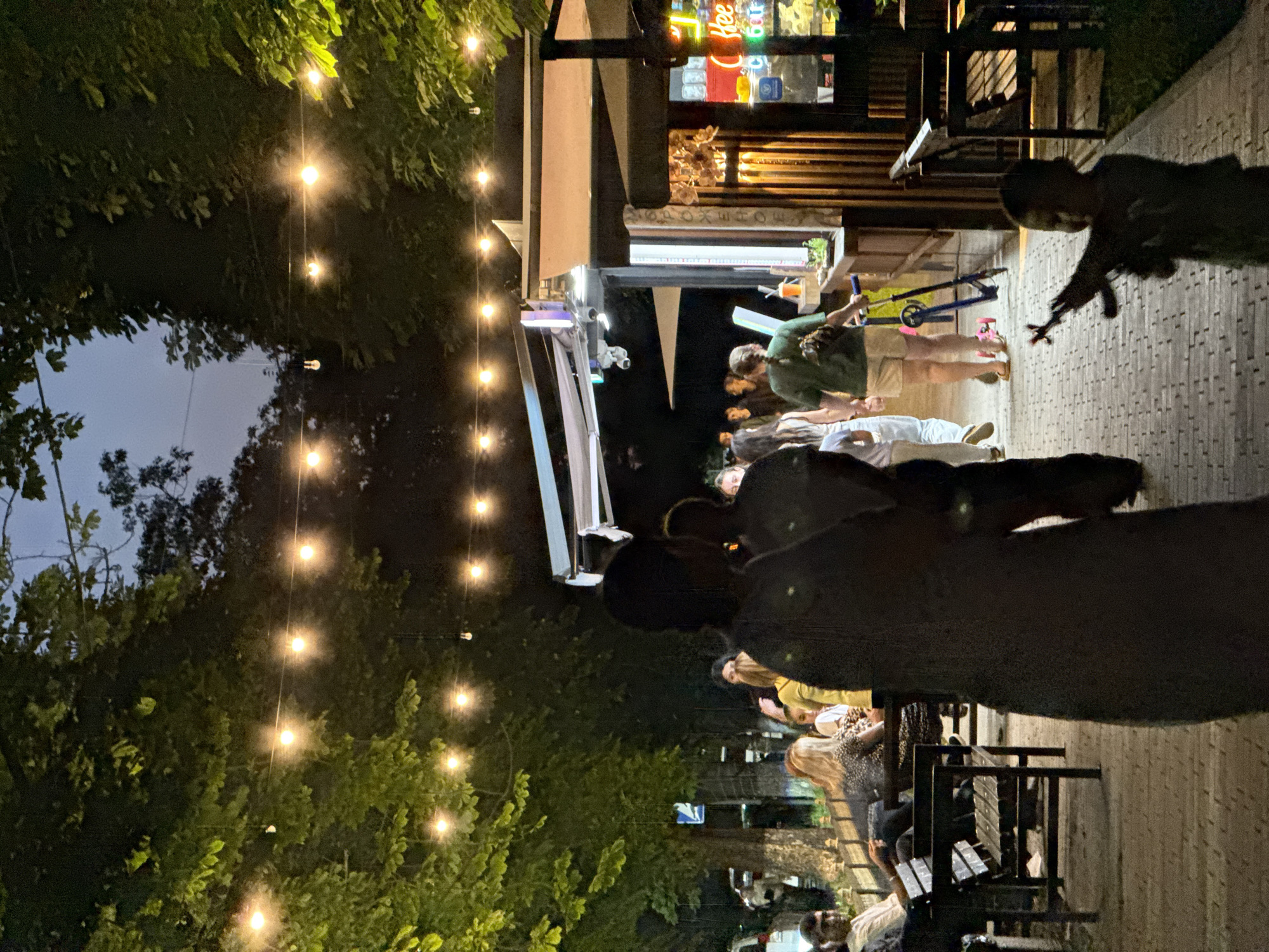 This media file captures an evening outdoor gathering at a venue in Novo-Artlukh, Russia. The scene is illuminated by strings of warm, glowing fairy lights suspended amidst leafy trees, creating a festive and inviting atmosphere. A group of people are seen interacting in a relaxed manner on a wooden deck area. In the background, a building with a counter area and bright signage is visible, suggesting it might be a cafe, bar, or restaurant.
The people are casually dressed, with some standing and conversing while others are seated on benches. The overall mood appears to be social and convivial, typical of an evening spent outdoors with friends or family. The time of day is clearly evening, as indicated by the darkness of the sky and the prominence of the artificial lighting. The presence of trees and the wooden decking suggest a natural or semi-natural setting, possibly a garden or a patio area.
One notable detail is a blue scooter partially visible in the middle ground, suggesting it belongs to one of the attendees or is a feature of the venue. The lighting casts a warm glow on the surroundings, creating a cozy ambiance. While no specific event is overtly depicted, the gathering suggests a social occasion like a dinner, drinks, or simply enjoying the evening outdoors. The image offers a glimpse into a pleasant social scene in a Russian locale.