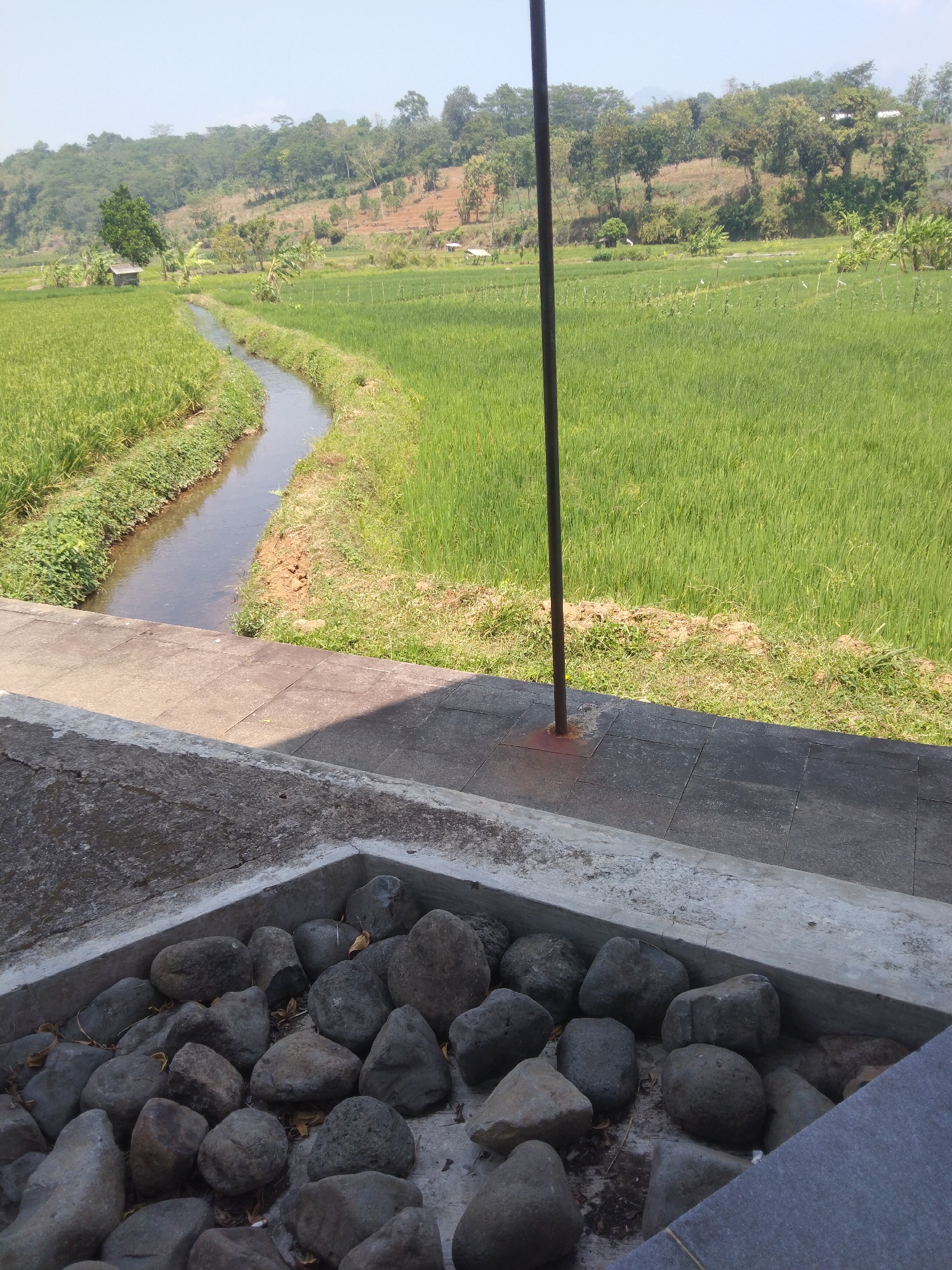 A scenic view of a rice paddy in Keling, Indonesia. A narrow, clear stream winds through the lush green rice fields, separating them. The landscape is hilly, with trees and vegetation covering the slopes. In the foreground, a paved walkway and a decorative planter filled with grey stones are visible. A tall, dark pole stands vertically in the middle ground. The sky is clear and blue. The scene depicts a tranquil rural environment.