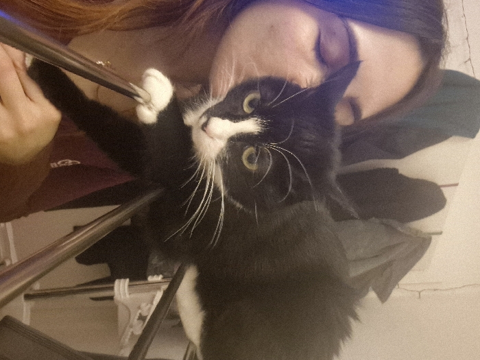 A woman with dark hair and closed eyes lies beside a black and white cat with green eyes. The cat is sitting on a gray metal structure, possibly a chair or rack. The cat has a white paw extended toward the woman's head. Clothes are hanging in the background. The lighting is dim and the image is rotated counterclockwise.