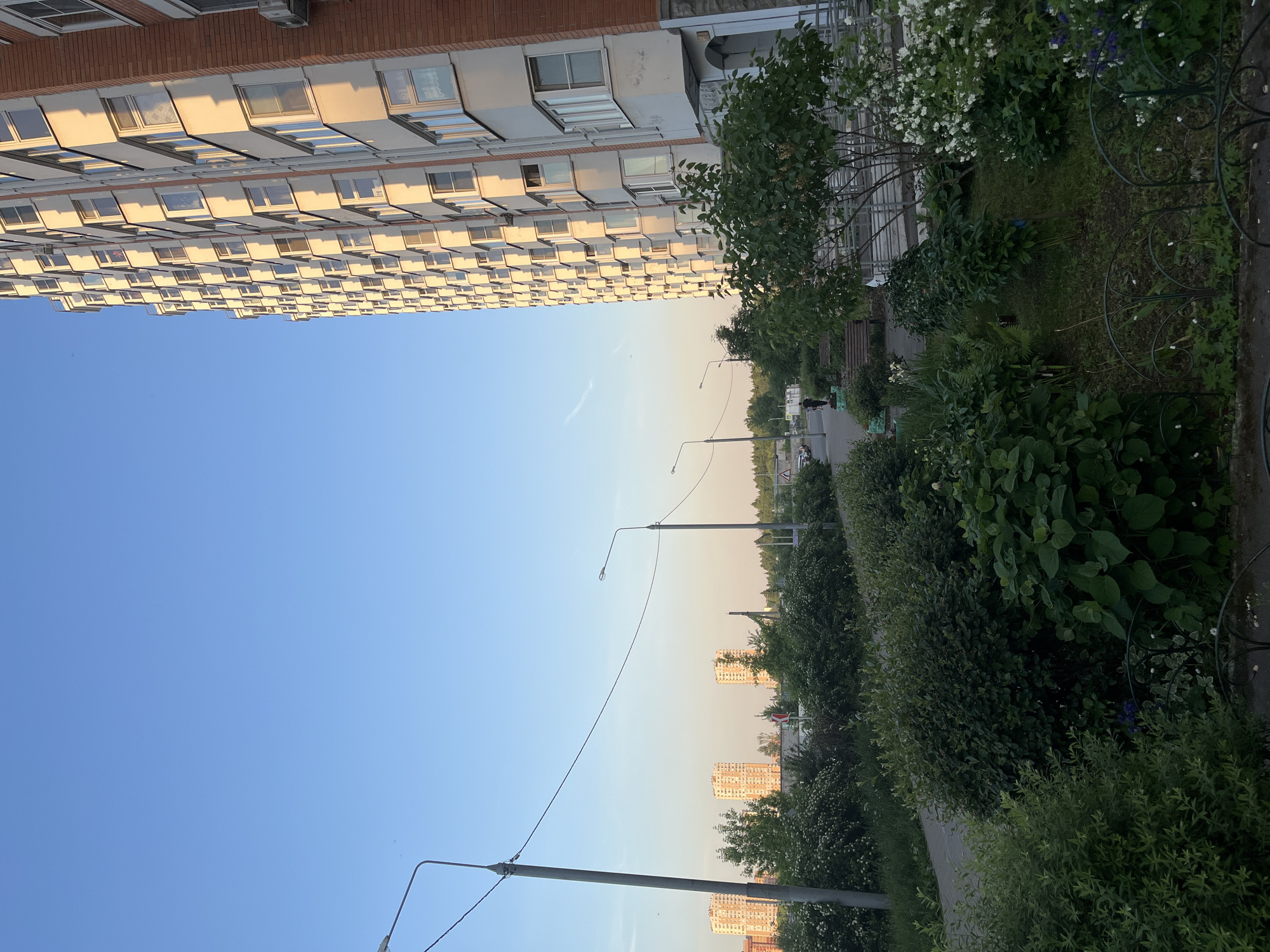 This image depicts an urban residential scene at dusk or dawn, characterized by clear skies and warm, directional sunlight. The setting is in the city of Unknown, Unknown.
On the right, a tall, multi-story residential building dominates the frame, constructed with light-colored (off-white/pale grey) panels and orange-brown brick accents. Its numerous windows and balconies are uniformly arranged, with the sun casting prominent shadows that emphasize the architectural relief. An air conditioning unit is visible on the brick facade near the bottom right.
In the foreground and midground, a lush green area features various bushes and small trees, some bearing white and purple flowers. A decorative dark metal fence runs along the bottom edge of the frame. A paved pedestrian pathway, with two empty wooden benches, snakes through this verdant landscape. Several tall streetlights with overhead wires are spaced along the path, extending across the scene.
To the far left, a multi-lane road is partially visible with at least two parked cars. One solitary human figure, small and dark against the light, is seen walking on a path or sidewalk adjacent to the road. In the distant background on the left, three prominent high-rise buildings, appearing lighter in color, rise above a treeline, also catching the low-angle sunlight. The sky above is a clear, vibrant blue, transitioning to a lighter, slightly pinkish hue near the horizon, with a faint contrail visible in the upper left quadrant.