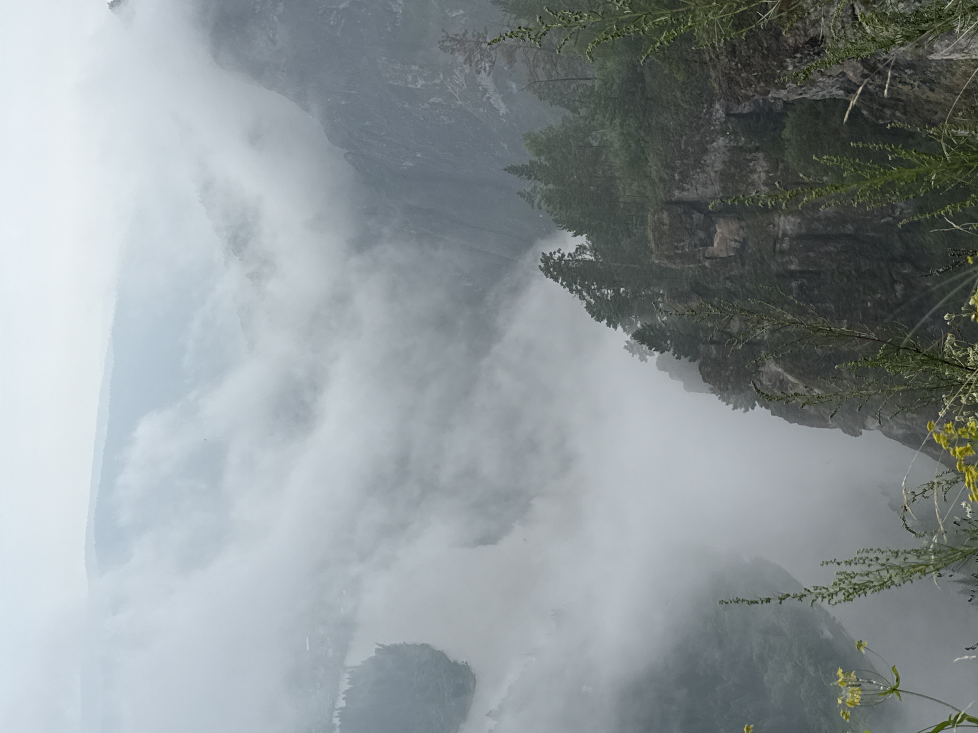 A misty, overcast day looms over a dramatic mountainous landscape in Urman, Russia. The foreground is dominated by a steep, rocky cliff face, adorned with sparse green foliage and the tops of tall evergreen trees. In the midground, the cliff drops away sharply, revealing a vast, misty expanse that obscures the valley below. A river winds through the valley, its presence hinted at by the faint outlines of trees on its banks. Further in the distance, layered mountain ranges fade into the hazy sky, creating a sense of immense depth and scale. The overall atmosphere is one of brooding natural beauty, with the mist adding an ethereal quality to the rugged terrain.