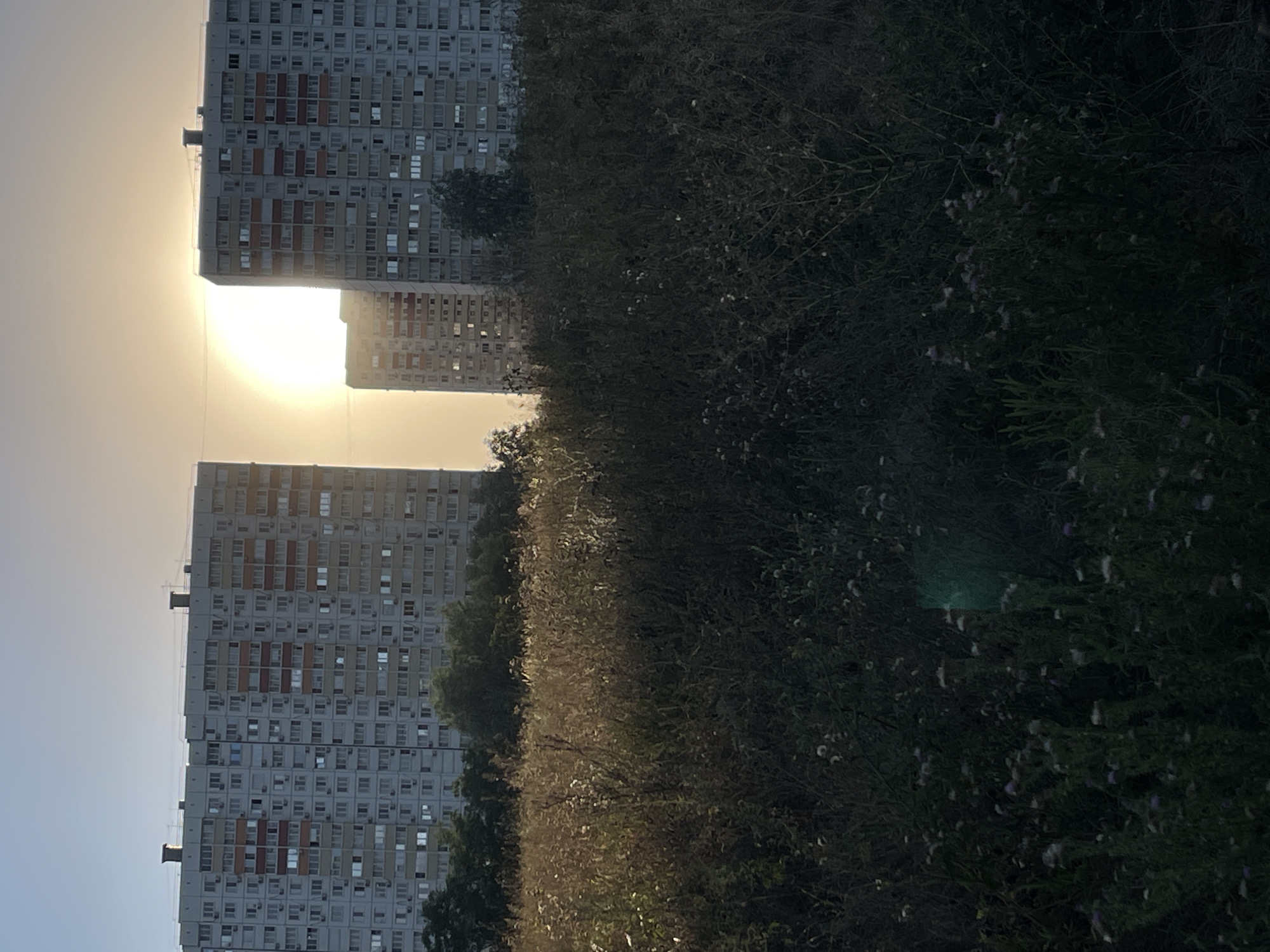 The image captures a wide view of two identical, multi-story apartment buildings flanking a bright sun, which is partially obscured by the left building and appears to be setting or rising. Both buildings are constructed of gray concrete with alternating red and cream colored balconies, and a series of windows are visible on each floor. The buildings are situated in what appears to be a residential area of Rostov-on-Don, Russia, as indicated by the architectural style of the apartment blocks. In the foreground, a field of tall, dry grass and wildflowers creates a natural, unkempt border between the viewer and the urban landscape. The light suggests either early morning or late evening, casting long shadows and a warm glow over the scene. There are no people visible in the image, and the overall atmosphere is one of quiet, everyday life.