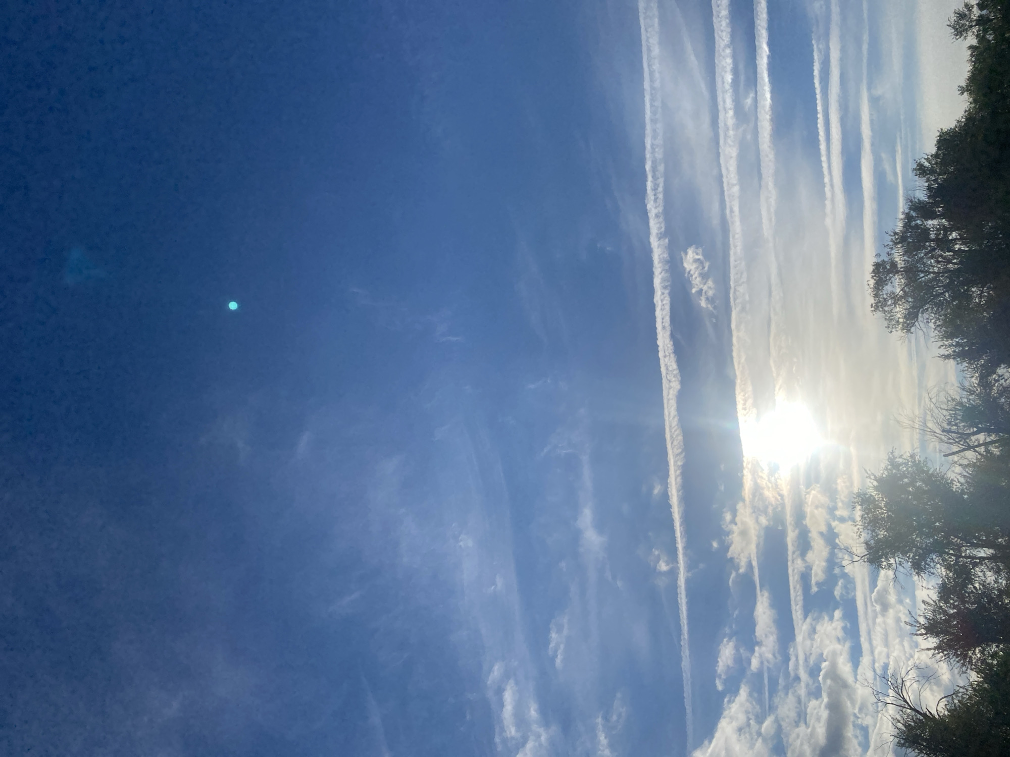 The image depicts a clear blue sky with numerous white contrails stretching horizontally across it. The sun is visible, partially obscured by clouds and emitting a bright glare. Below the sky, the silhouettes of trees and foliage are visible against the bright sky, suggesting an outdoor scene. The location is identified as Байқоныс ауылдық округі, Kazakhstan. There are no people or specific objects of interest readily apparent in the scene, other than the natural elements of sky, sun, clouds, contrails, and vegetation.