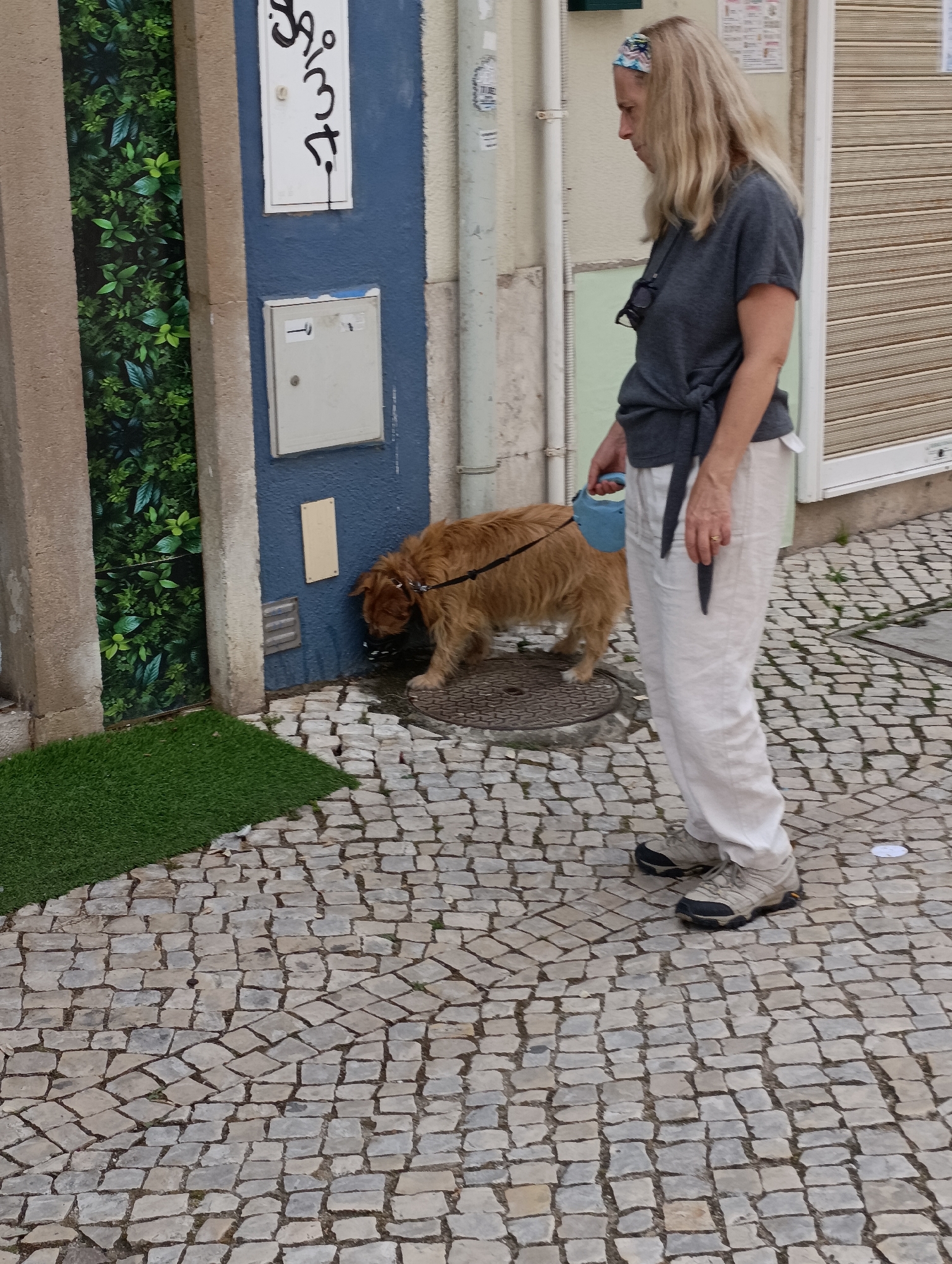 In Setúbal, Portugal, a blond woman with a headband and a grey t-shirt tied at the waist walks her golden-brown dog on a cobblestone street. The dog is on a leash and appears to be drinking from a puddle near a blue building. A section of artificial grass is visible to the left of the scene. The woman is wearing light-colored pants and hiking shoes, and she holds a blue retractable leash. The building has a vertical green plant mural on its left side, and a white mailbox with black lettering above a smaller grey mailbox.