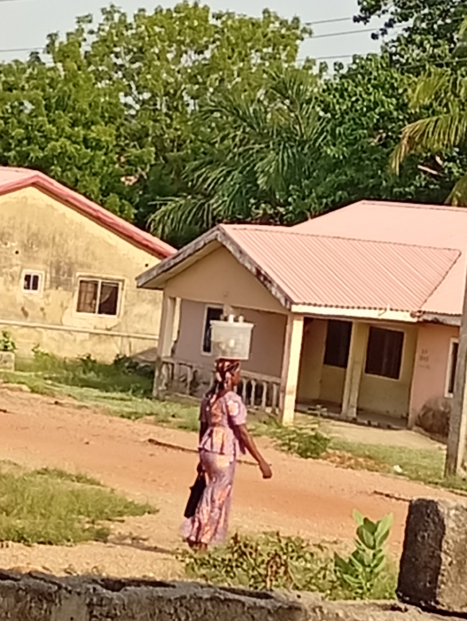 The image depicts a bright daylight scene in a residential area of Adankolo, Nigeria. A woman is prominently featured walking away from the viewer along a reddish-brown dirt path. She wears a patterned, purple-hued dress and balances a white, translucent bucket or container on her head while carrying a black bag in her left hand.
On either side of the path, patches of green grass grow. In the background, two single-story houses are visible. The house on the left has a light yellow, weathered exterior with two windows and a red corrugated iron roof. The house on the right, closer to the woman, is painted in a pale, possibly pinkish-beige color, also featuring a red corrugated iron roof. It has a small porch with columns and multiple dark windows; faint, unidentifiable markings or text are barely visible on its front wall.
Lush green trees and dense foliage form a verdant backdrop above the houses. In the immediate foreground, a low concrete wall or barrier is partially visible, with some small green plants growing beside it. The scene portrays an everyday activity under clear, sunny weather, characteristic of a semi-urban or rural Nigerian setting.