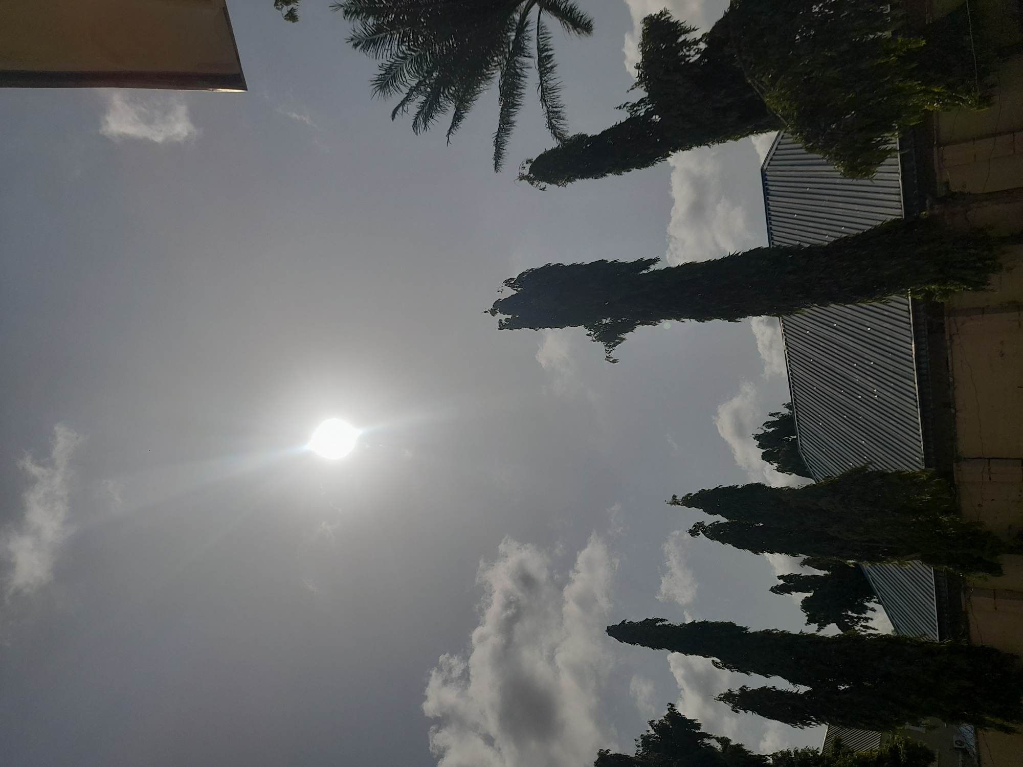 The image depicts a bright, sunny day in Jalingo, Nigeria, with the sun high in the sky, casting a strong glare. Several tall, slender trees with dense foliage stand in silhouette against the bright sky. Behind the trees, the corrugated metal roof of a building is visible. A low wall runs along the bottom of the frame. The overall scene suggests an outdoor environment in a city.