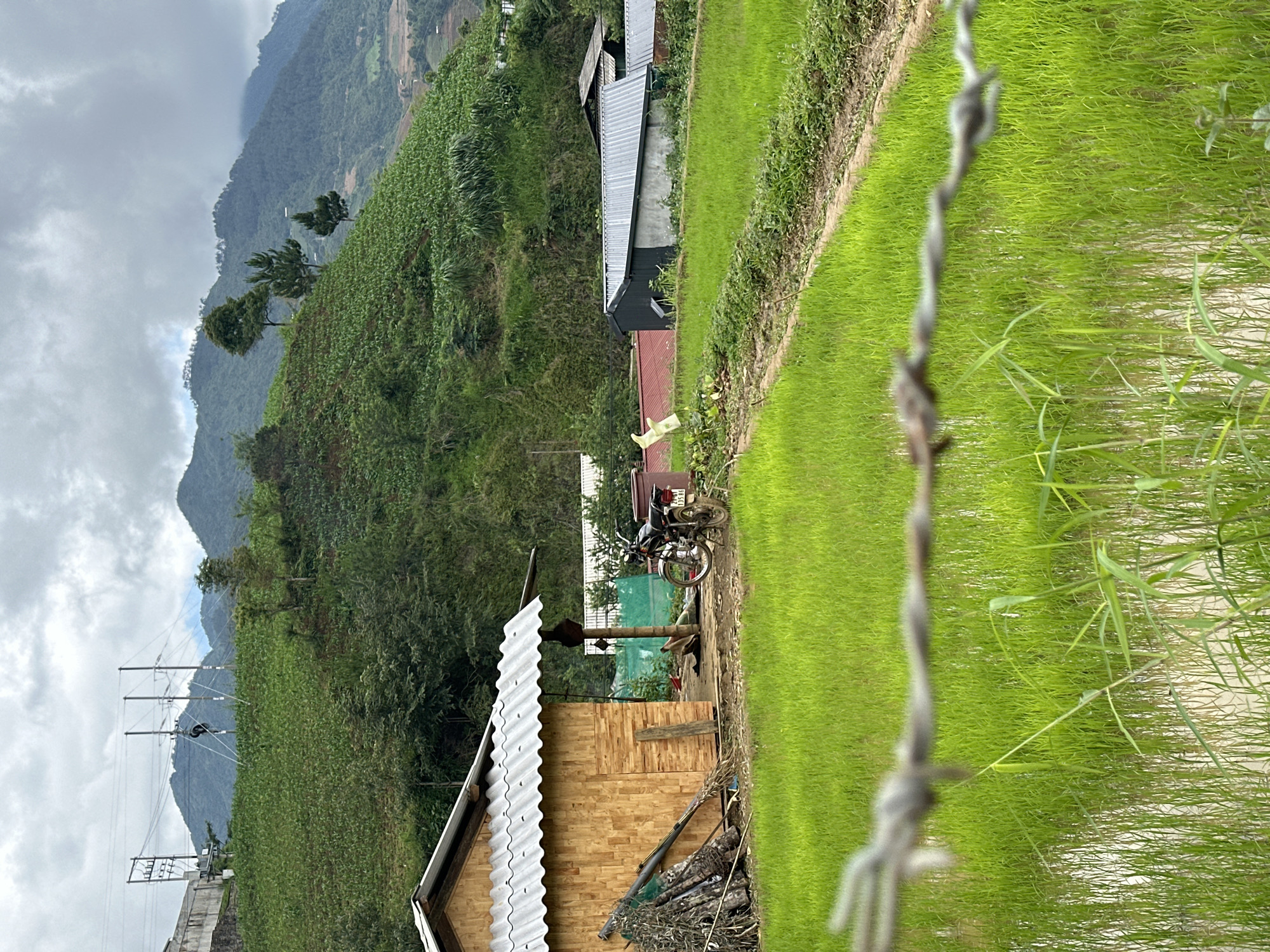 This image depicts a rural mountainous agricultural landscape in Dế Xu Phình, Vietnam, under an overcast sky. In the immediate foreground, a blurred barbed wire fence runs horizontally across the bottom of the frame. Beyond the fence, the lower half of the image is dominated by vibrant green rice paddy fields, partially submerged in water, with young rice shoots visible. A narrow, unpaved path or dike separates sections of the paddy on the right side.
In the midground on the left, a single-story structure with wooden plank walls and a corrugated metal roof is present. A pile of cut wood or bamboo is stacked against its left side. To the right of this building, a dark-colored motorcycle with visible license plate numbers "135 86" is parked on a dirt patch. Behind the motorcycle, a structure covered by a green net is partially visible. Further to the right in the midground, several additional, simpler structures with corrugated metal roofs and various wall materials are scattered among the fields. One white, glove-like object is visible hanging near a plant between these structures.
The background consists of steep, verdant hills covered with terraced agricultural fields, indicating cultivated crops across the slopes. Scattered trees, including both broadleaf and conifer-like species, dot the hillsides. Utility poles and power lines are visible on the upper left slope, traversing the terrain. The distant mountain peaks are partially obscured by atmospheric haze or low-hanging clouds, blending into the heavily overcast sky. No people are visible in the scene.