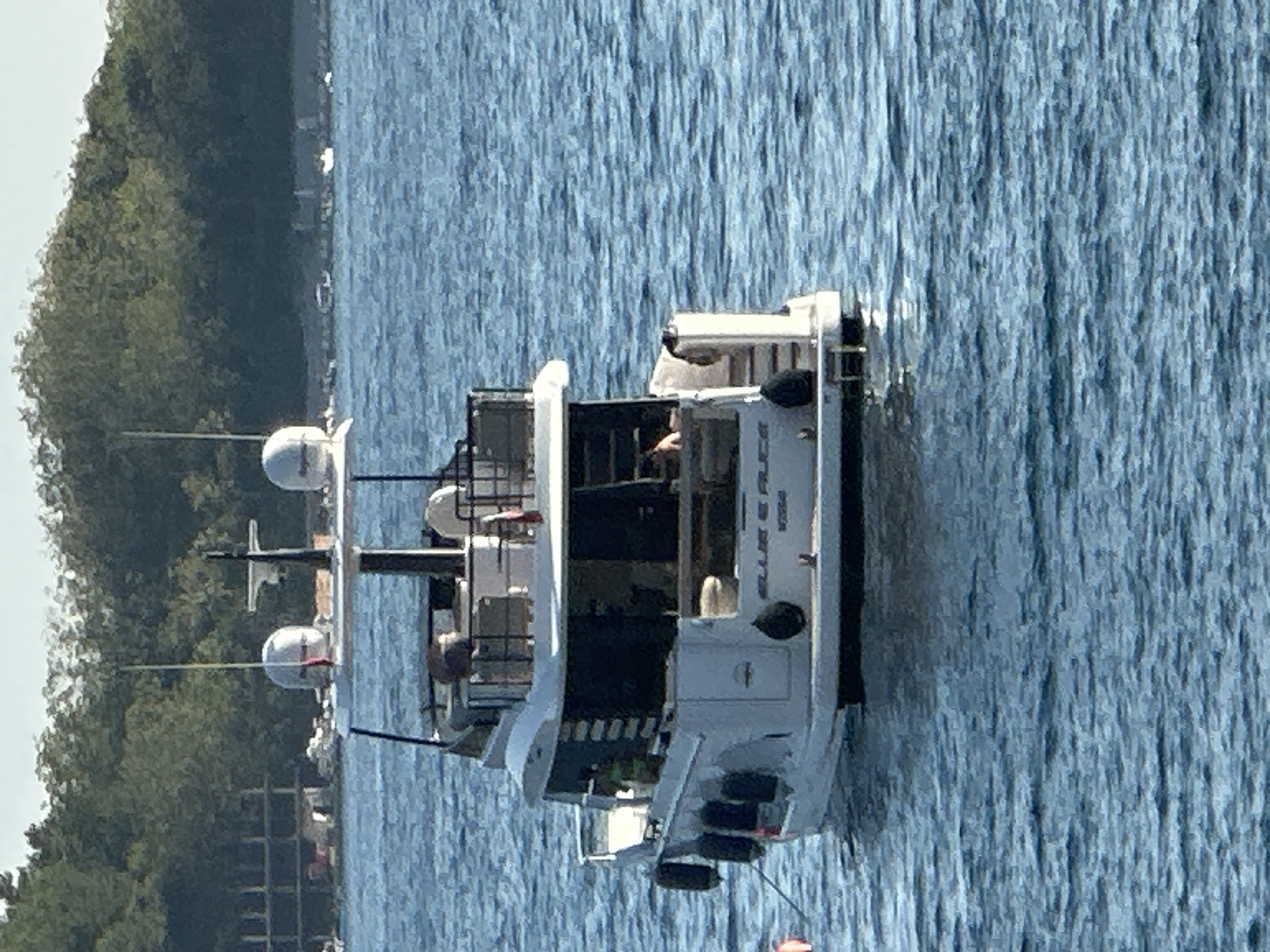 An aerial view shows a white motor yacht anchored in the blue waters of the Adriatic Sea, with the lush green coastline of Budva, Montenegro, visible in the background. The yacht, named "ELLIE E ALICE," features a modern design with multiple levels, a radar dome, and life preservers. The sea is calm with gentle ripples, and the sky is clear and bright. The background reveals a dense forest-covered hill, with some buildings partially obscured by the trees, suggesting a coastal town setting. The overall scene conveys a sense of peaceful leisure and maritime activity.
